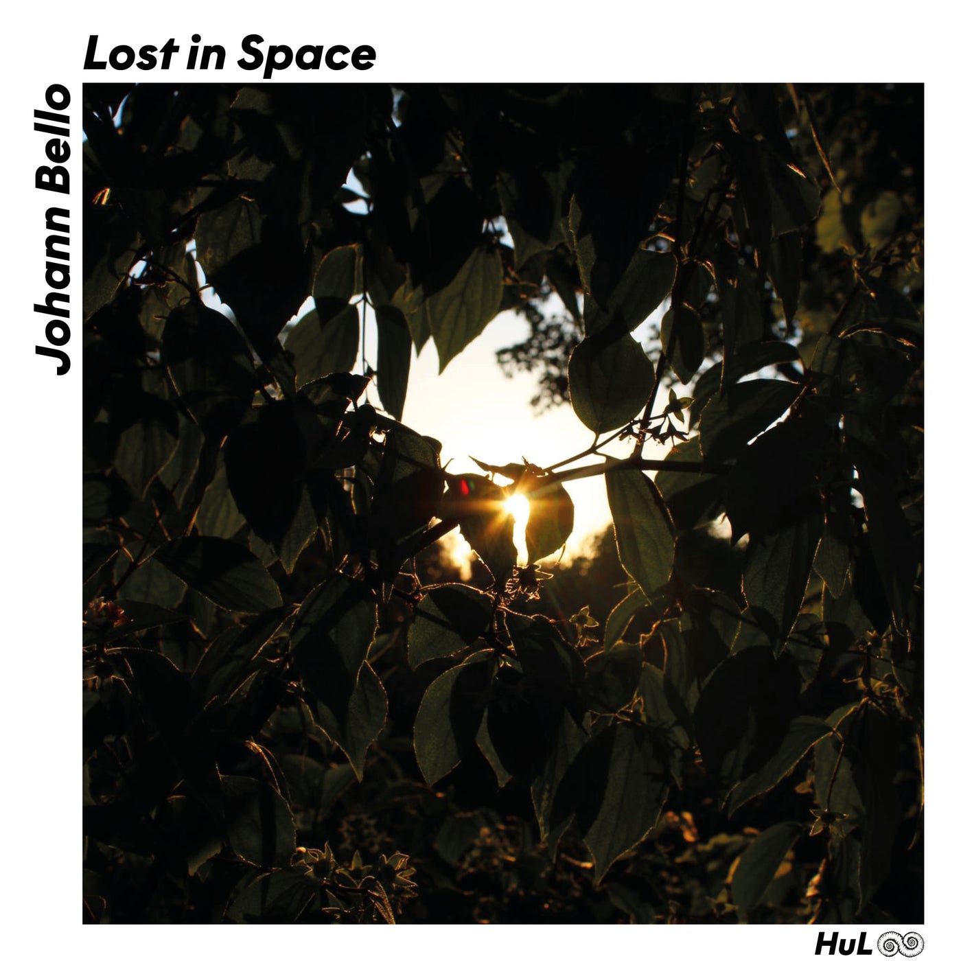 Lost in Space