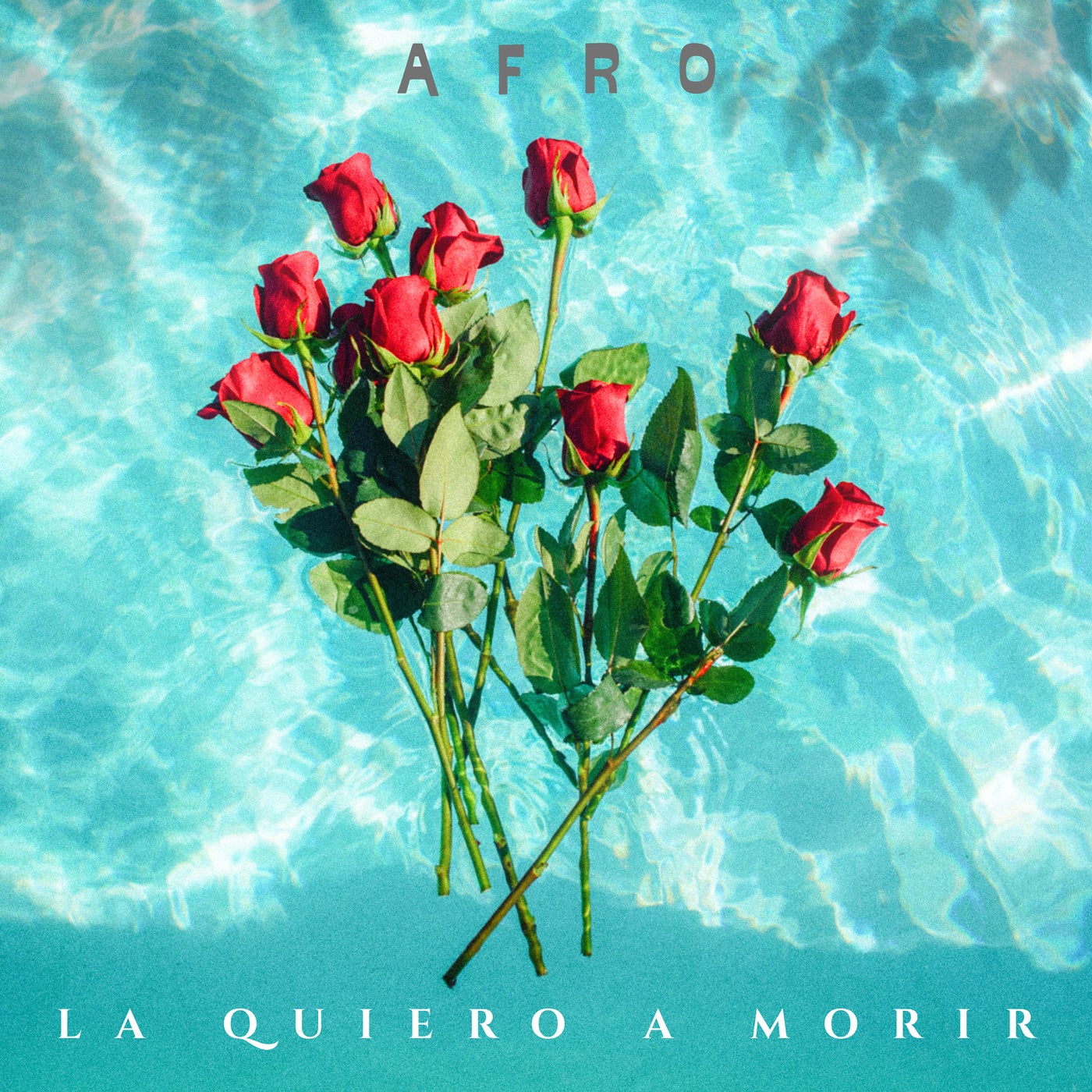 La Quiero A Morir