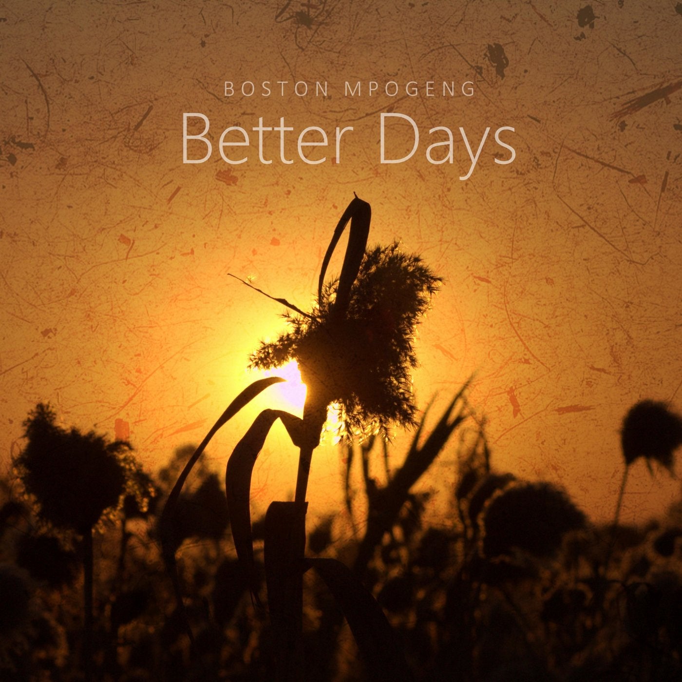 Better Days