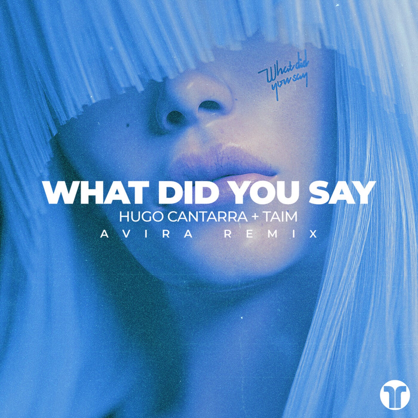 What Did You Say (AVIRA Extended Remix)