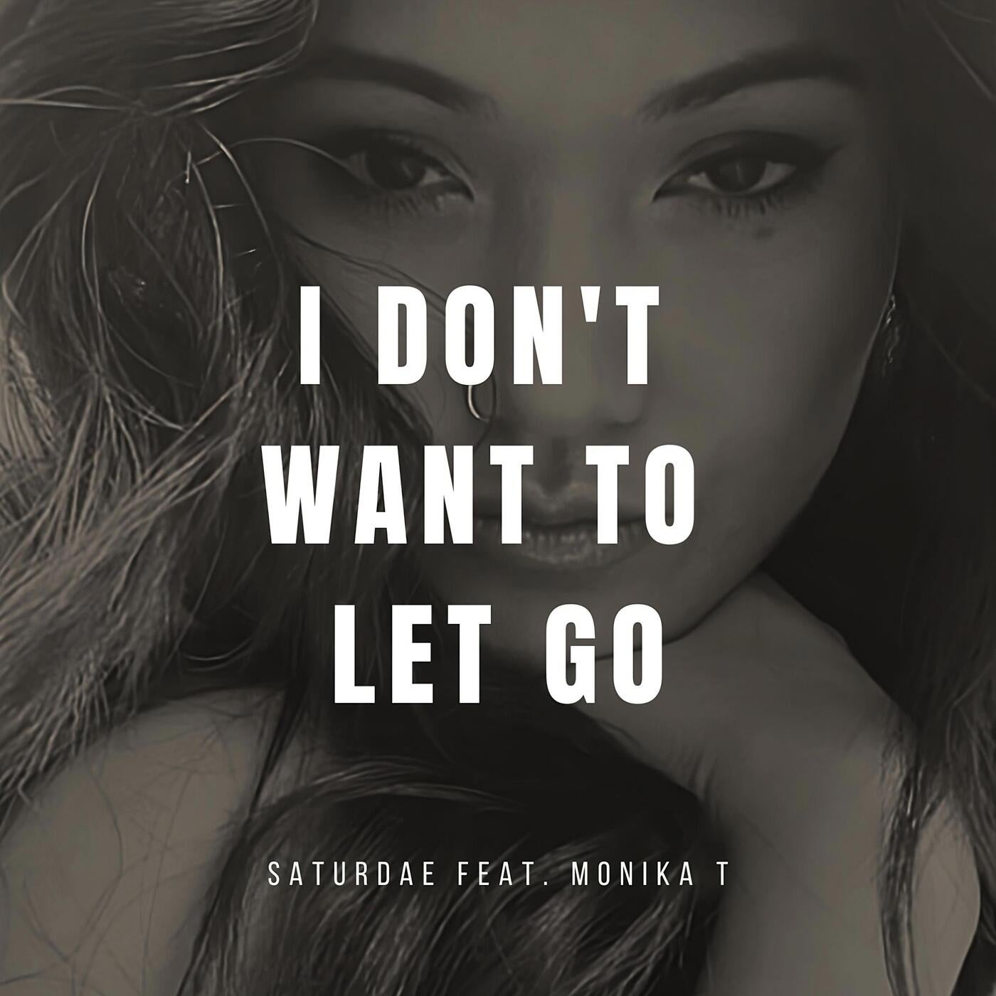 I Don't Want To Let Go (feat. Monika T)