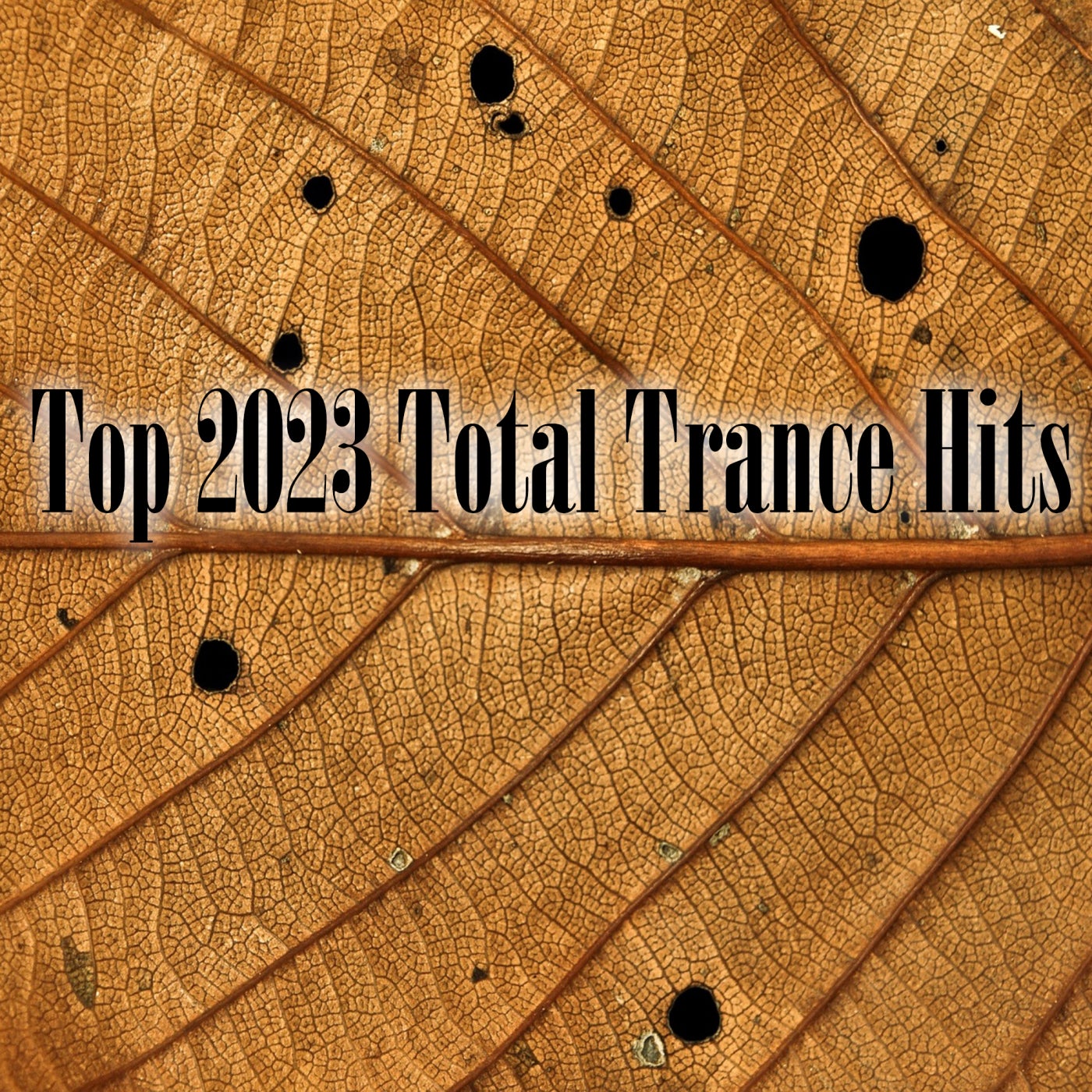Top 2023 Total Trance Hits