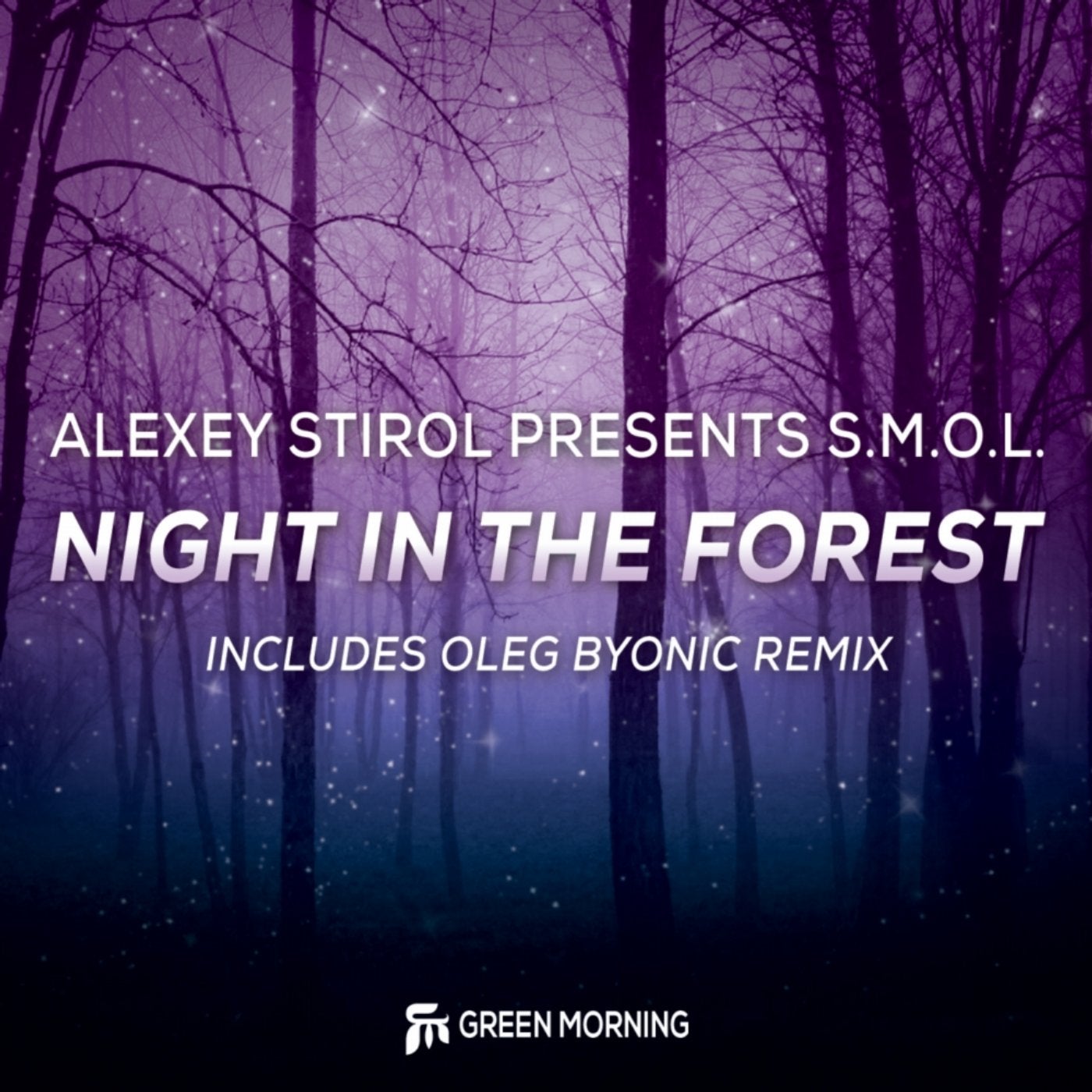 Night In The Forest