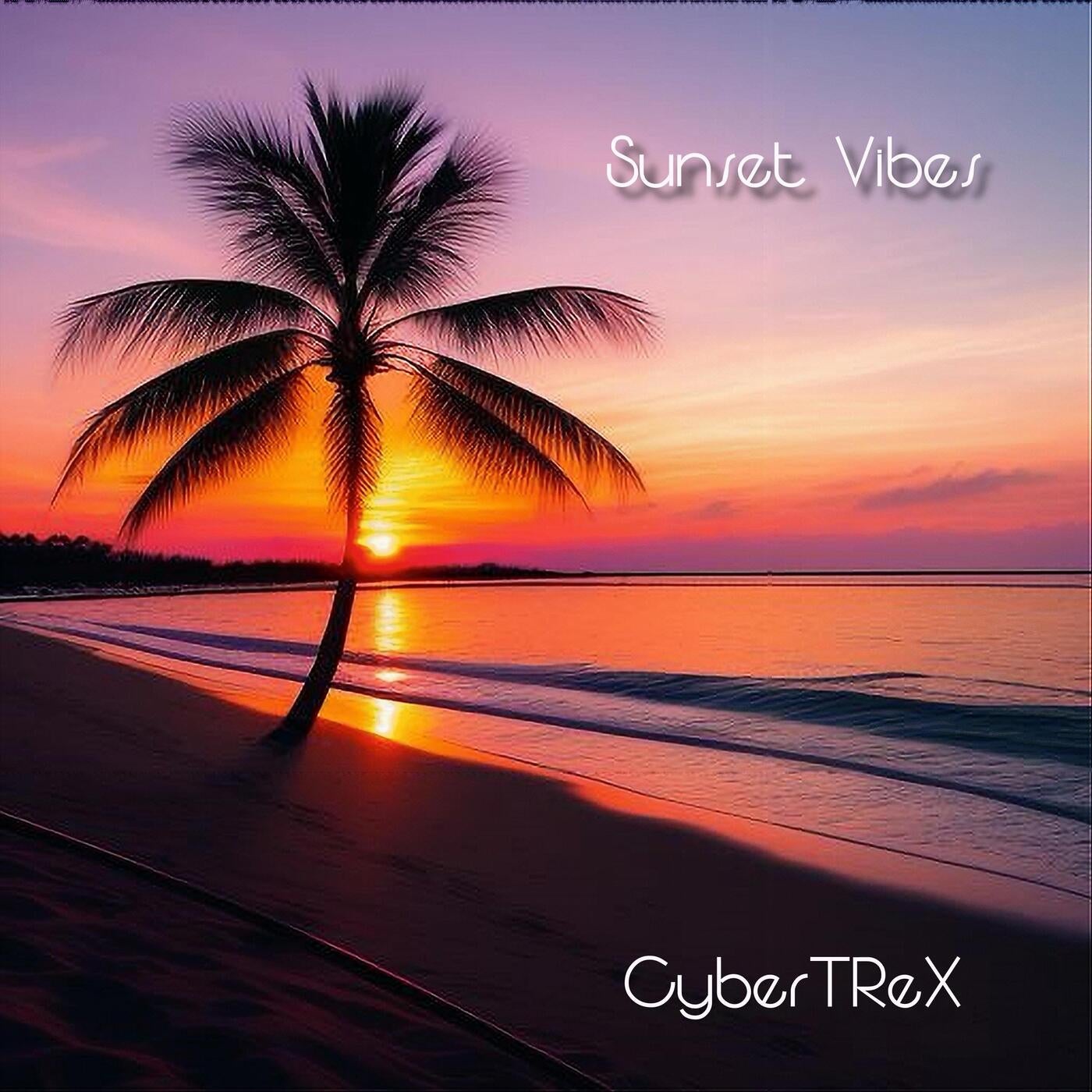 Sunset Vibes