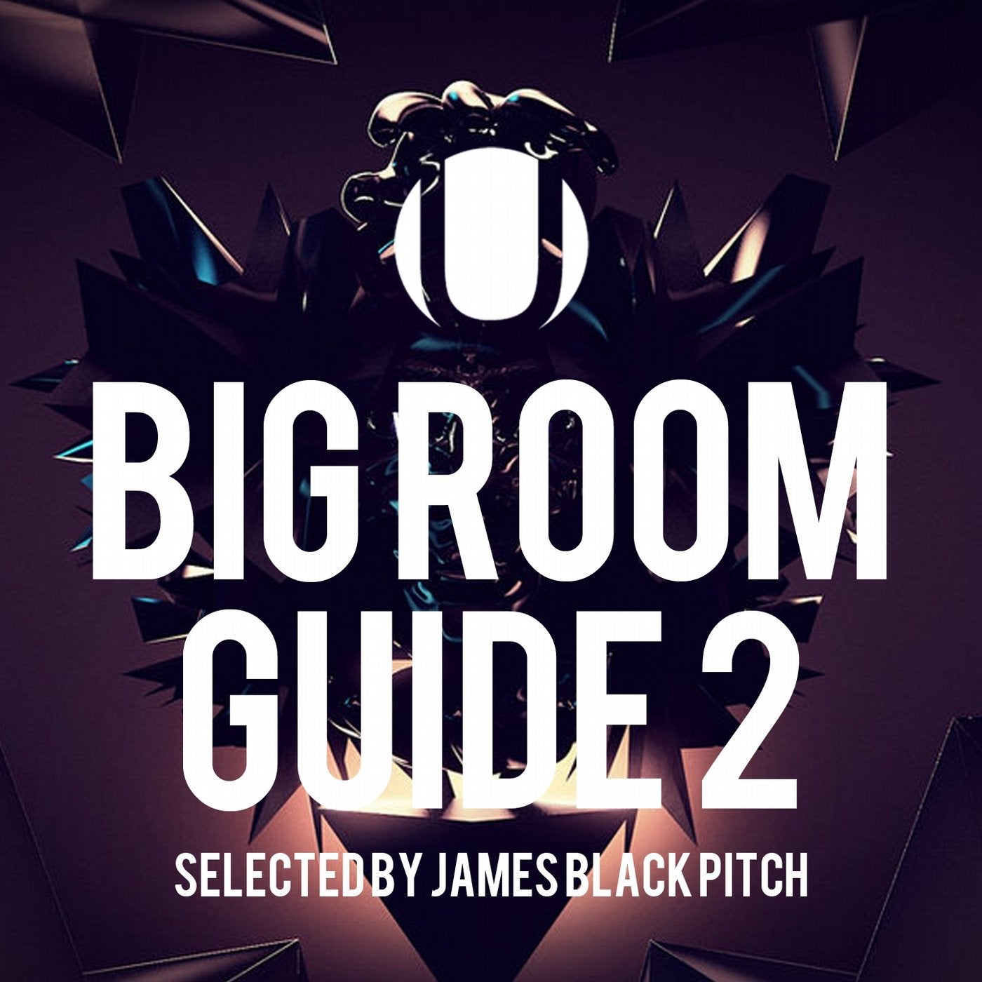 Big Room Guide 2 (Selected by James Black Pitch)
