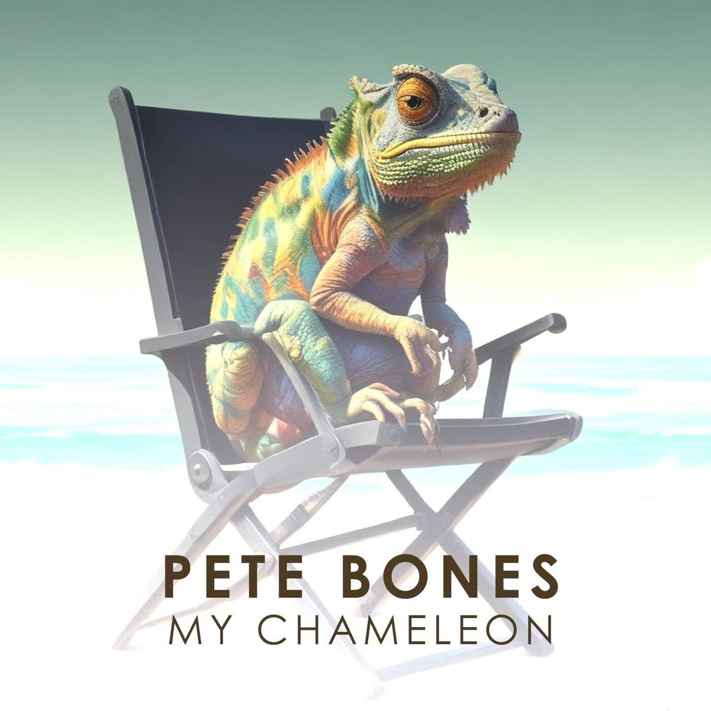 My Chameleon (The Shaker Dub)