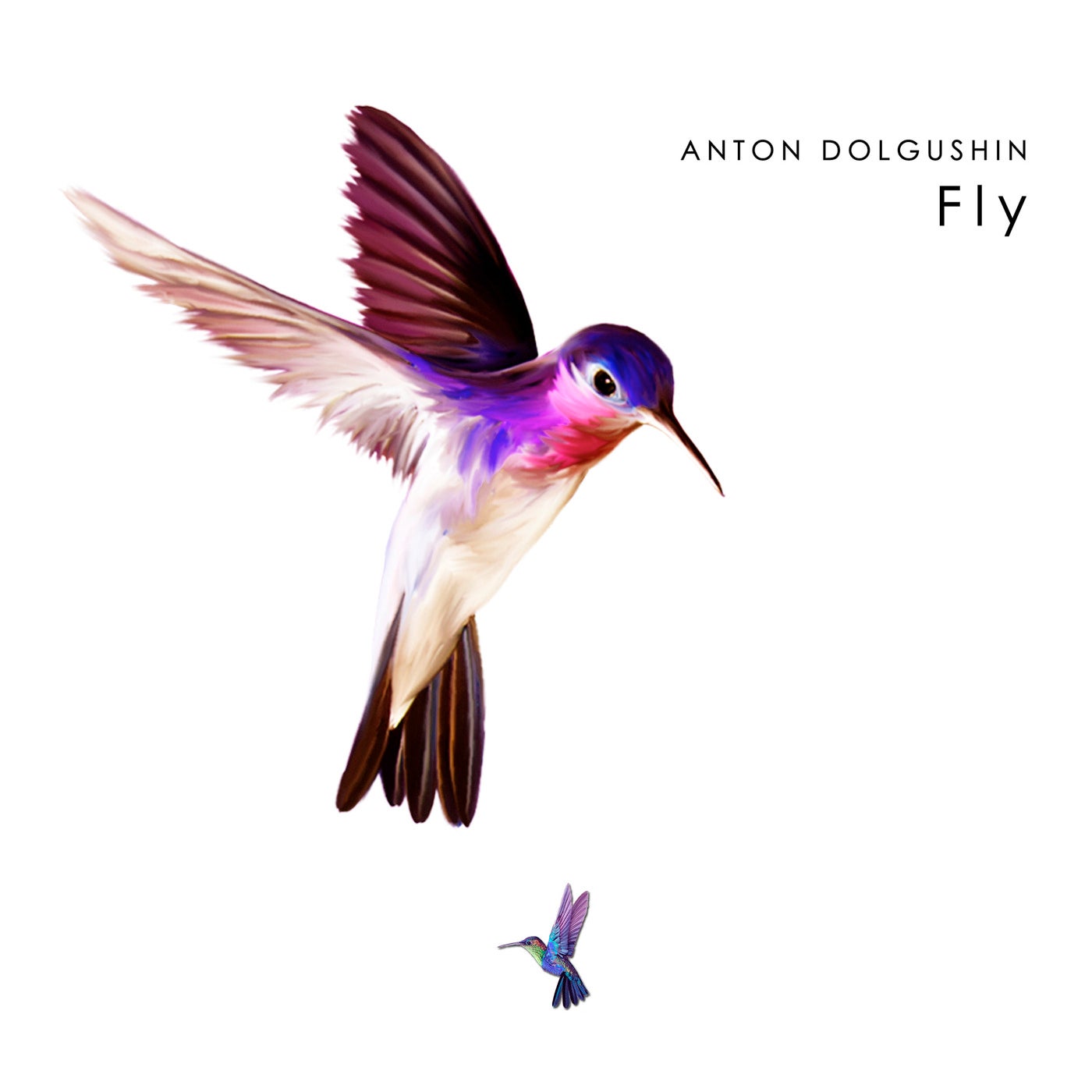 Fly