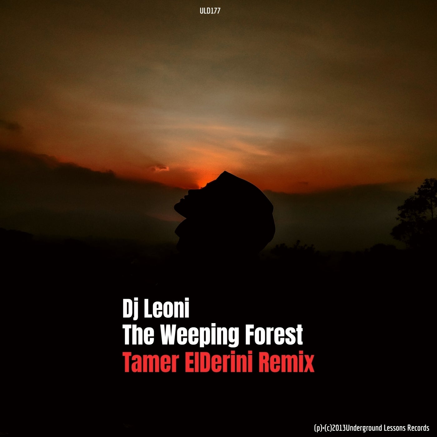 The Weeping Forest (Tamer ElDerini Remix)