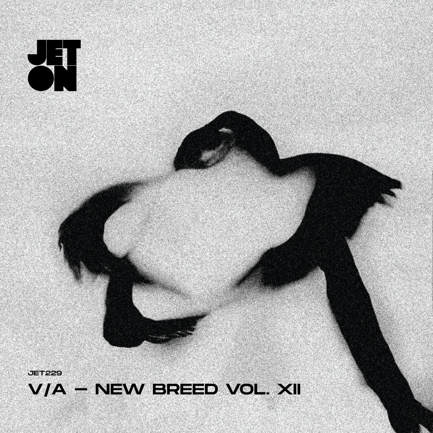 New Breed, Vol. Xii