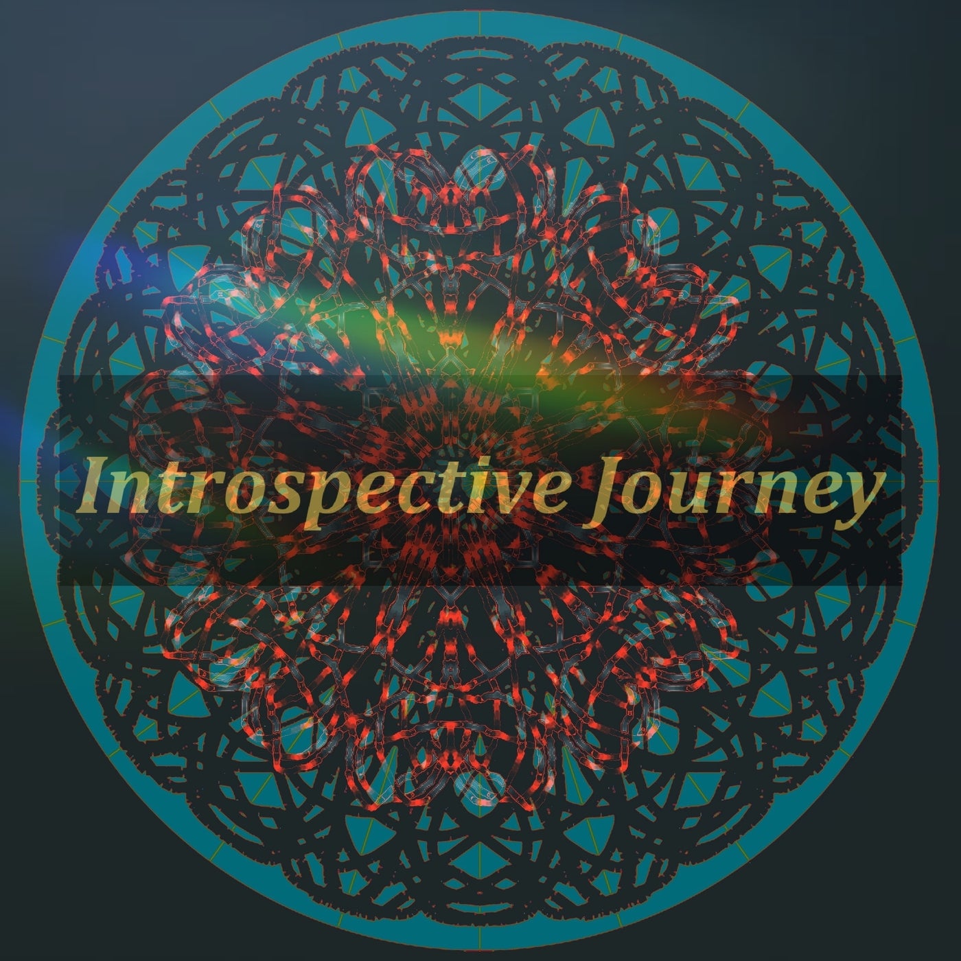 Introspective Journey