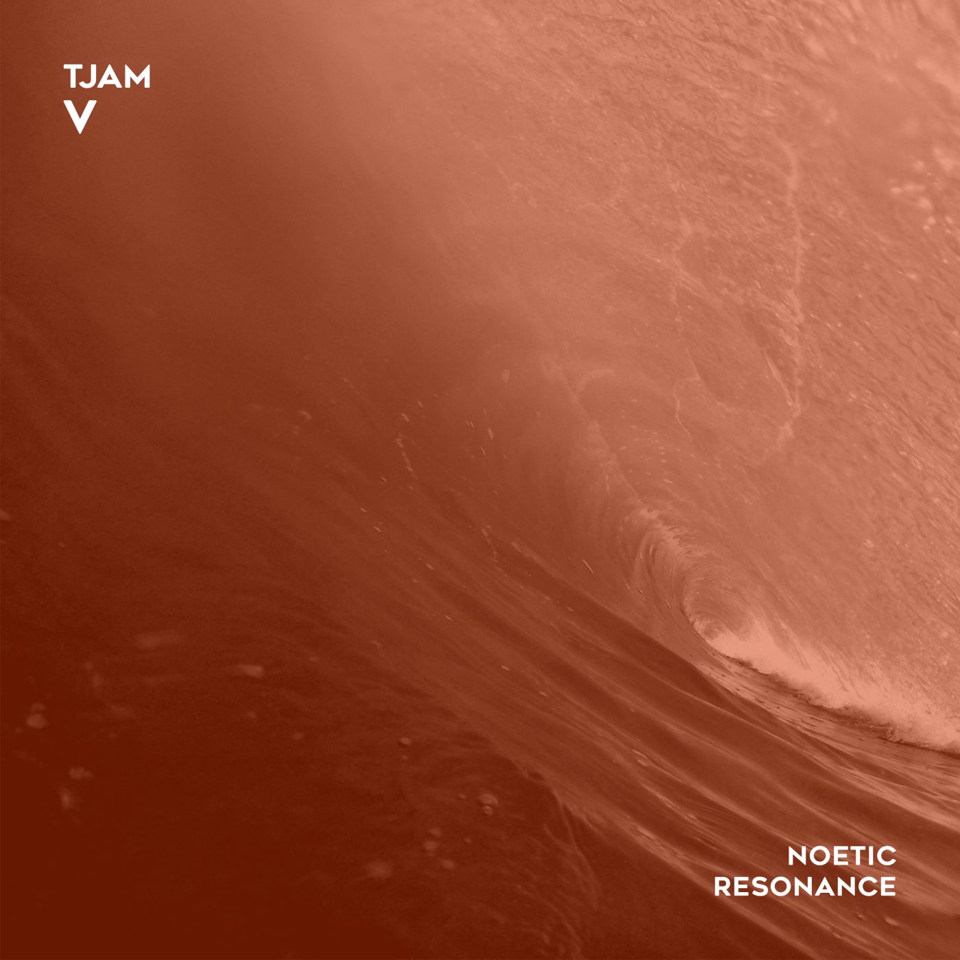Cover art for V