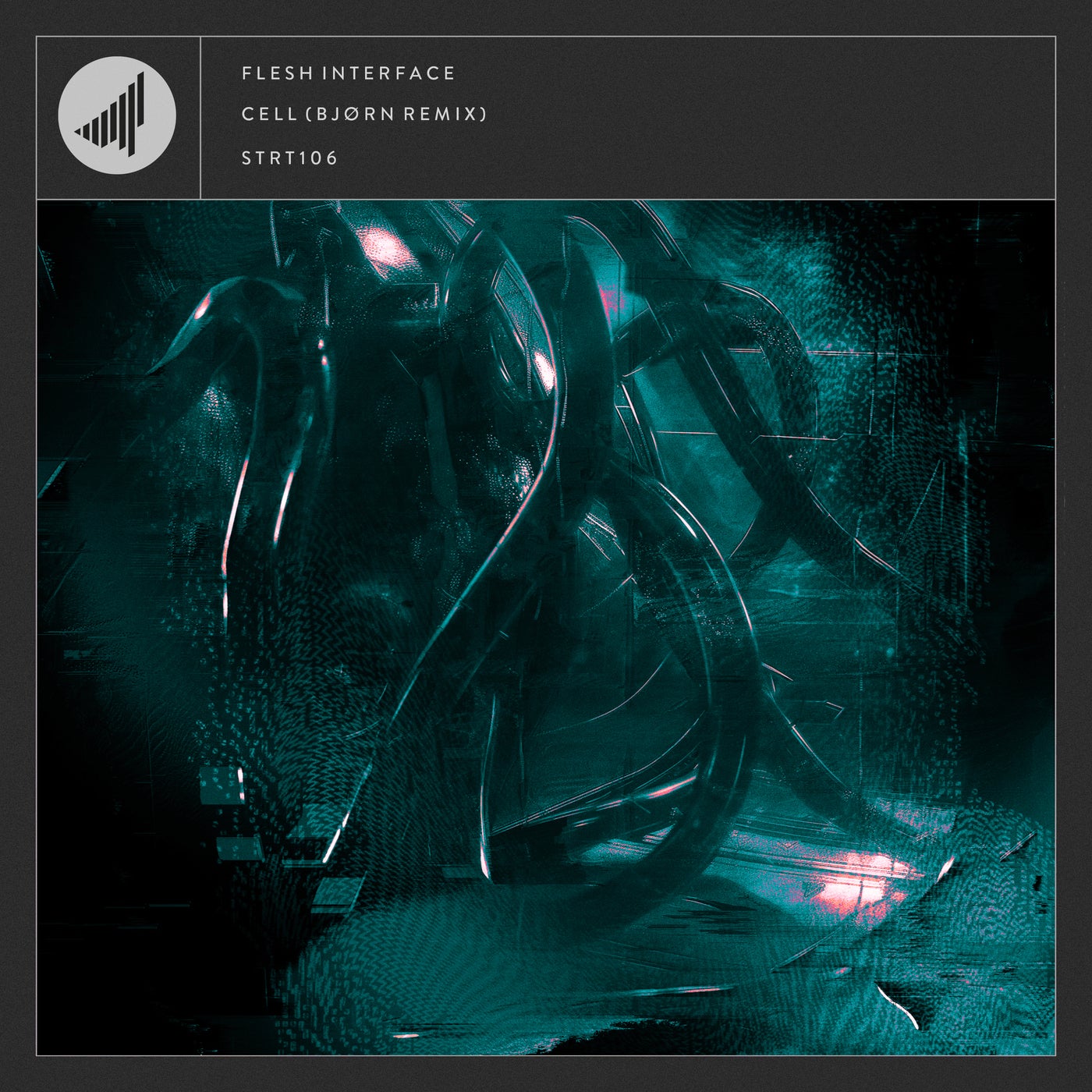 Flesh Interface Music & Downloads on Beatport
