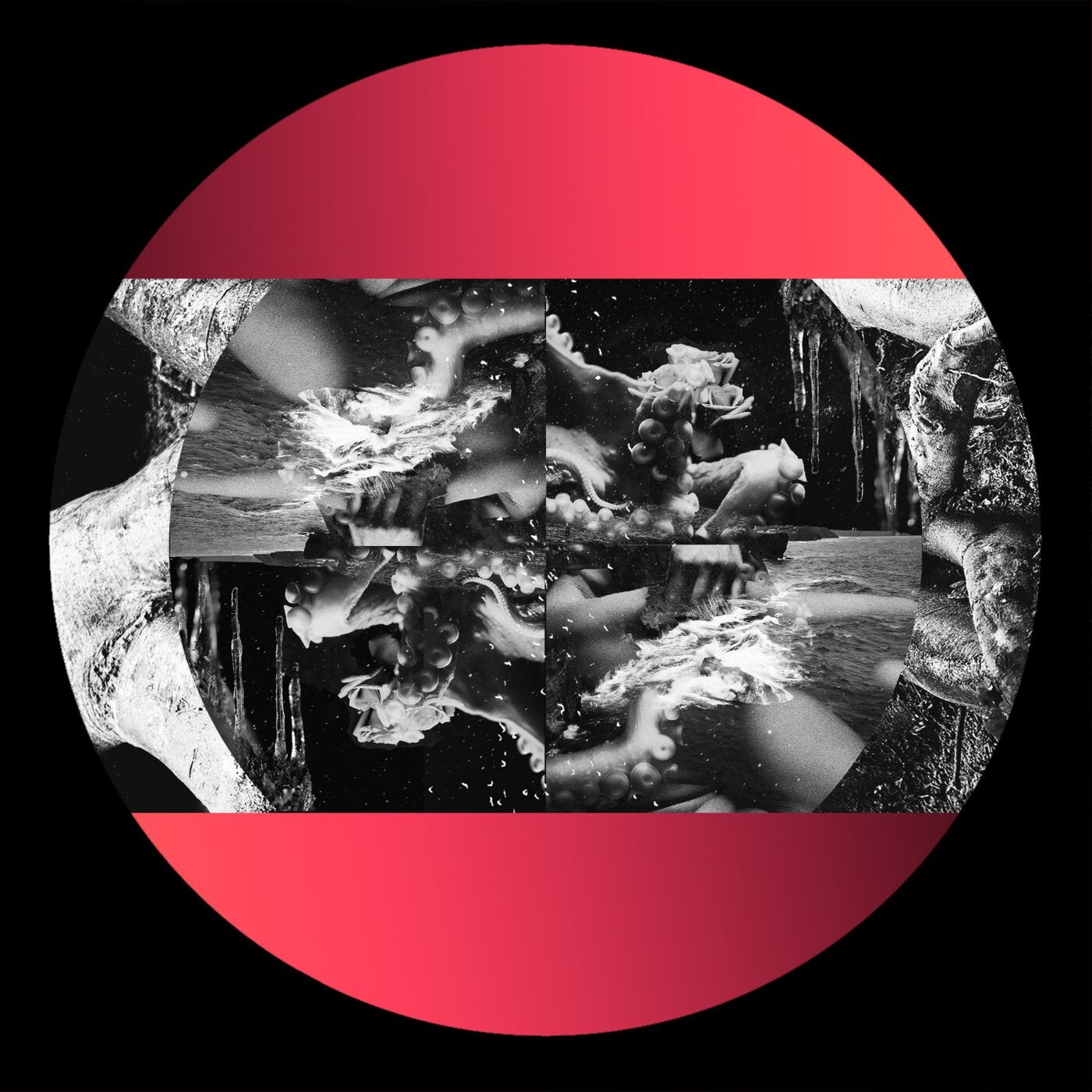 Cover art for Skye