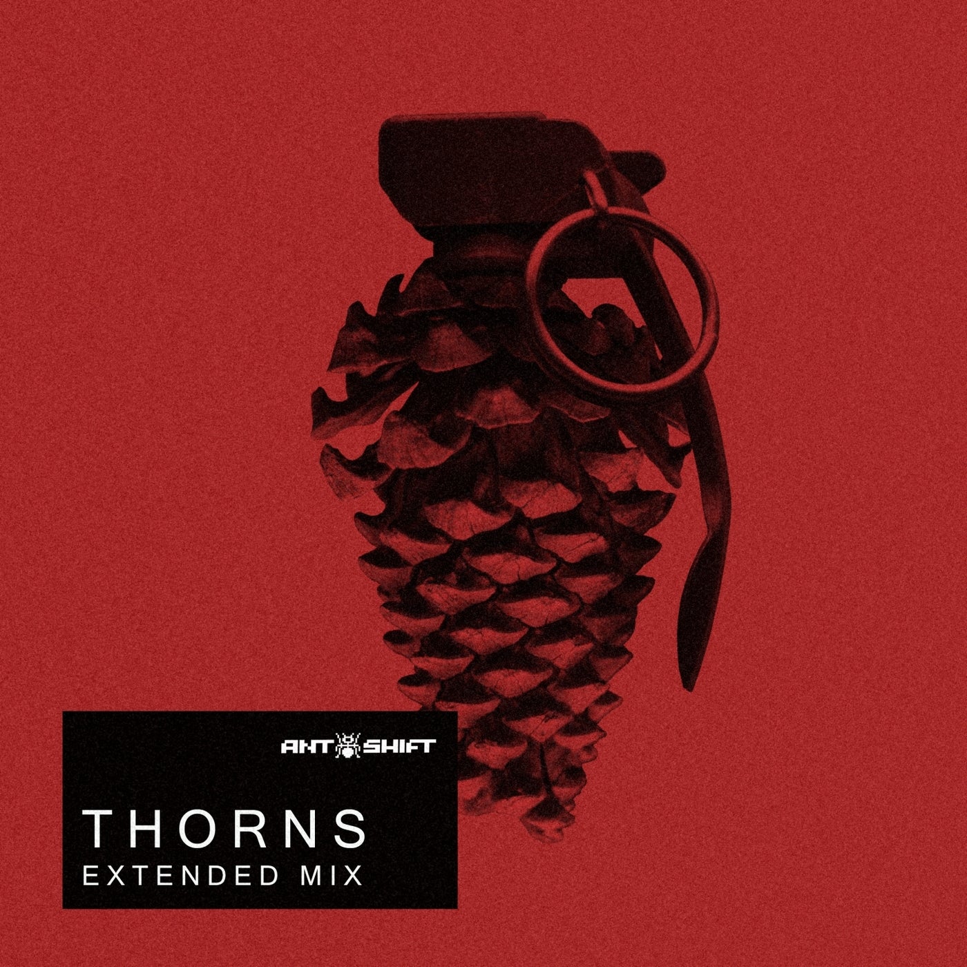 Thorns (Extended Mix)