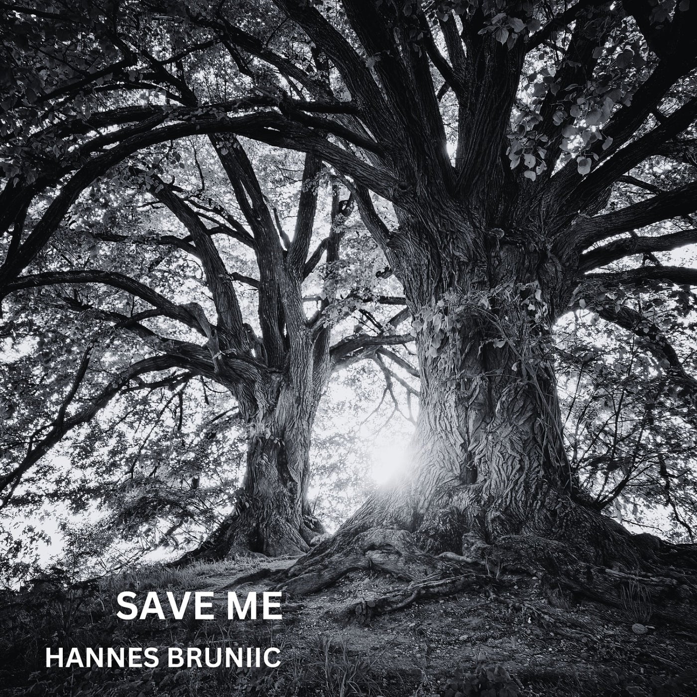 Save Me