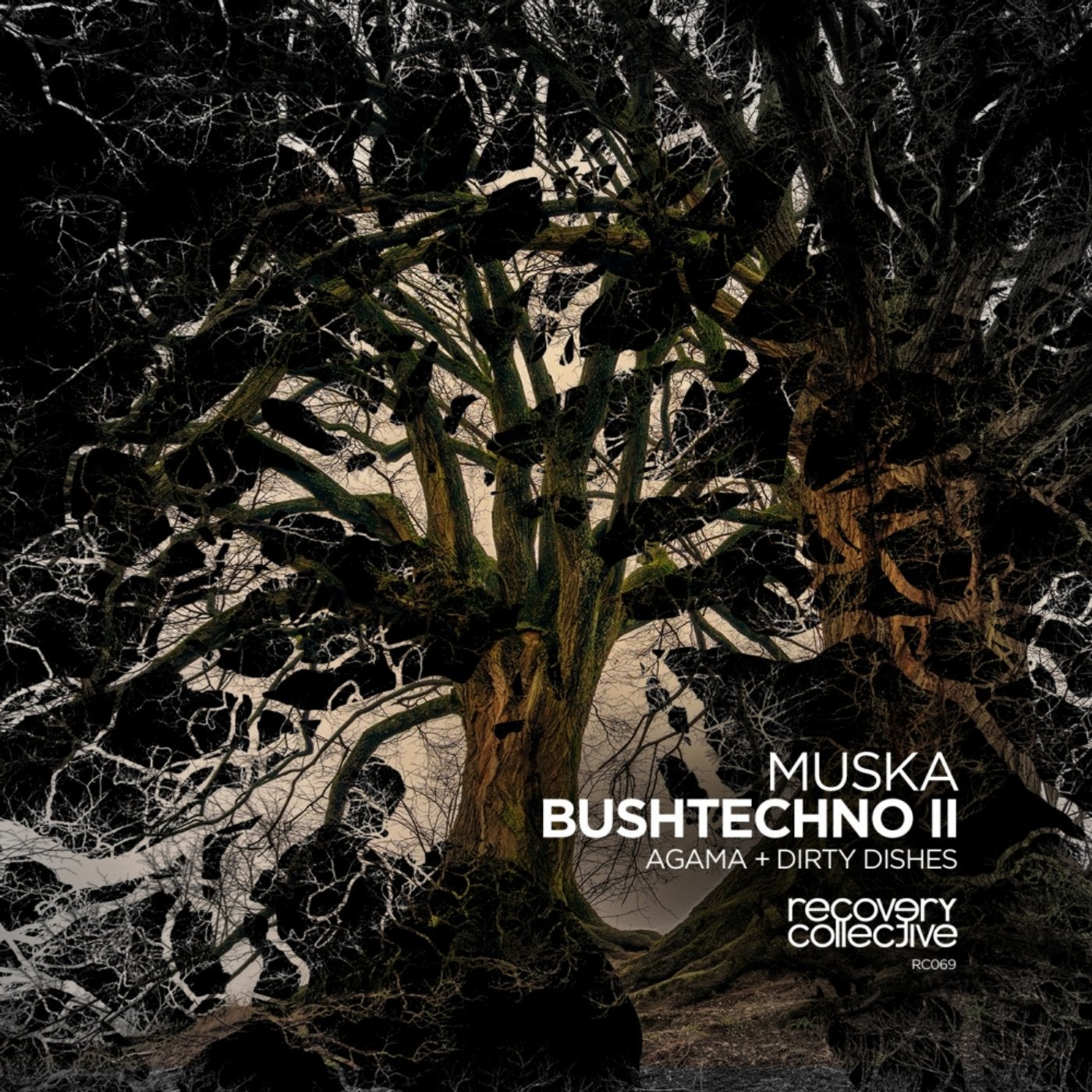 Bushtechno II