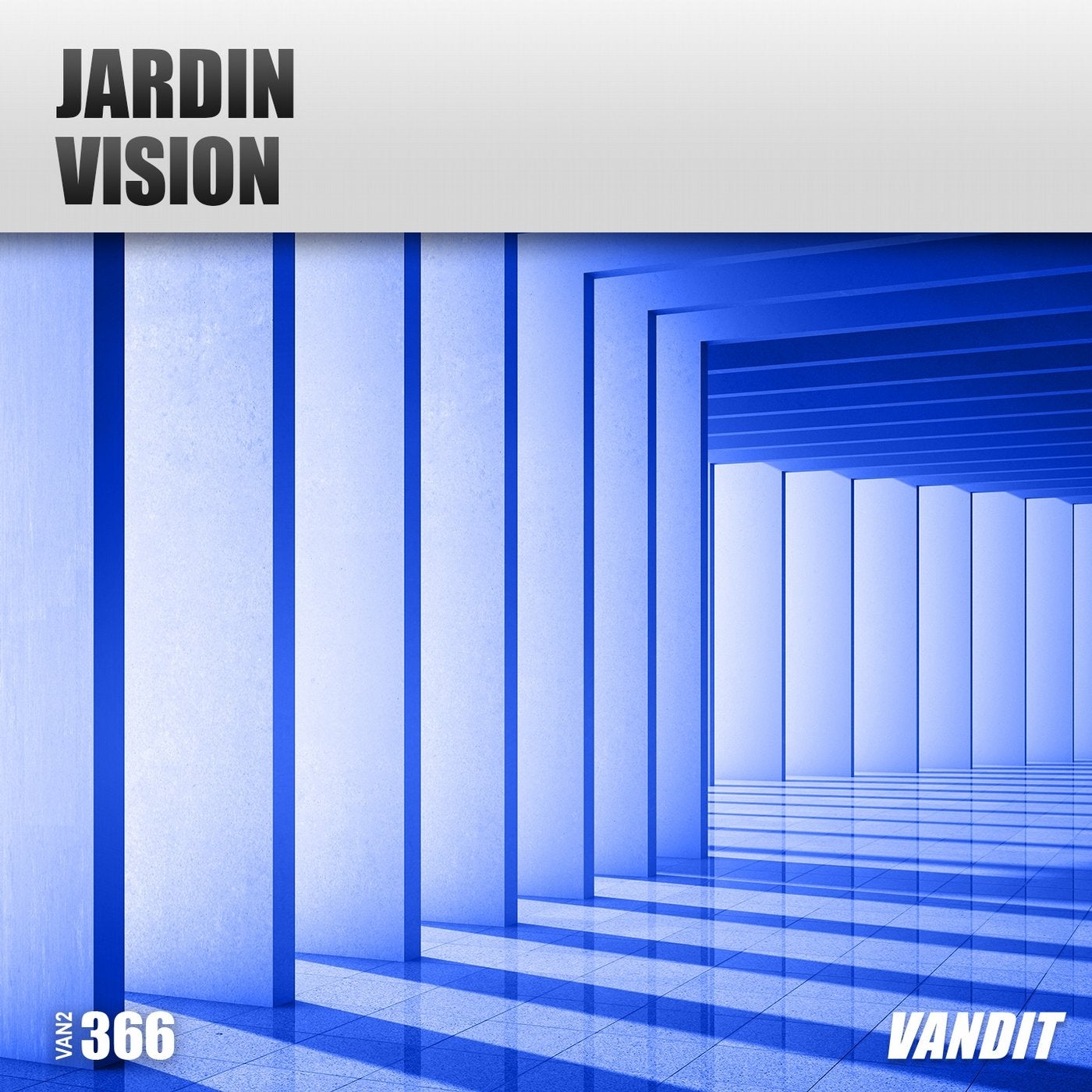 Vision (Extended)