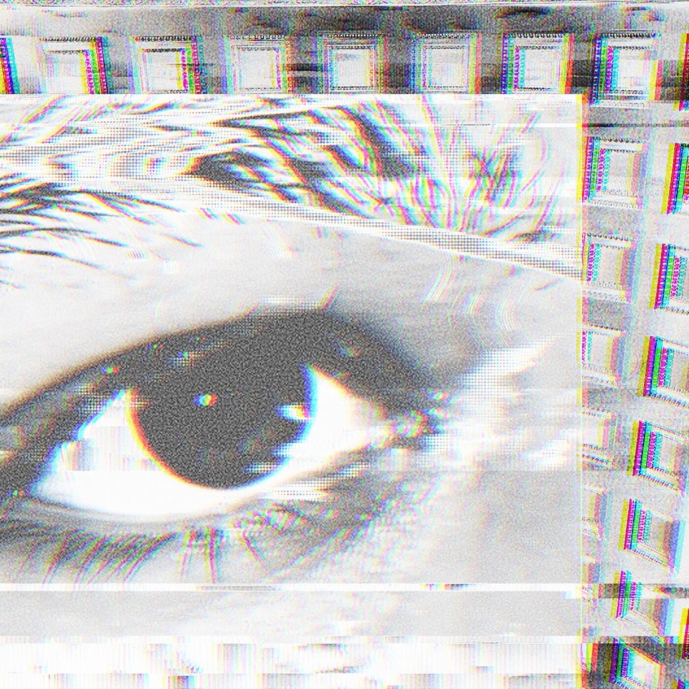 lostmedia