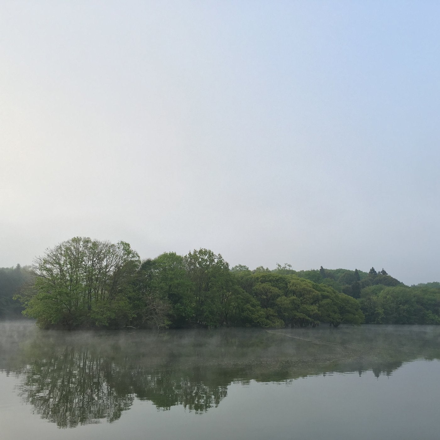 veiled in the morning haze