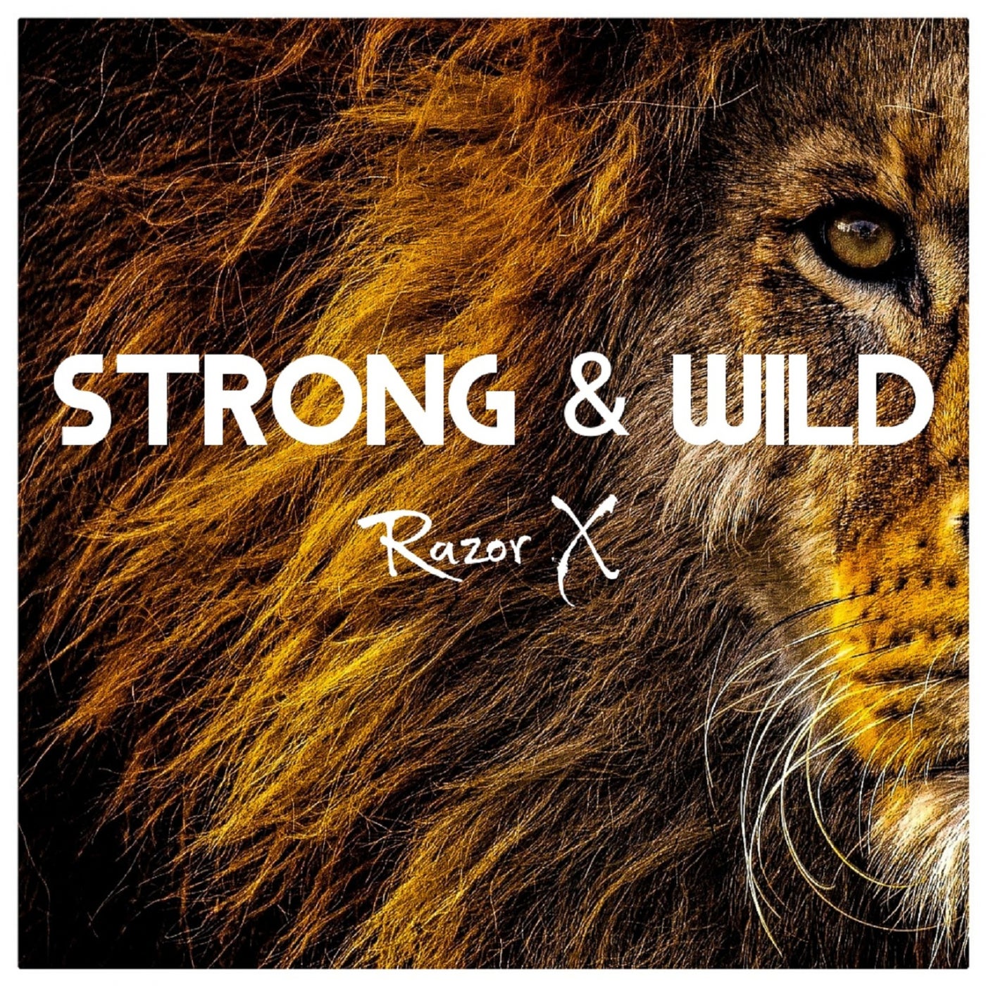 Strong & Wild