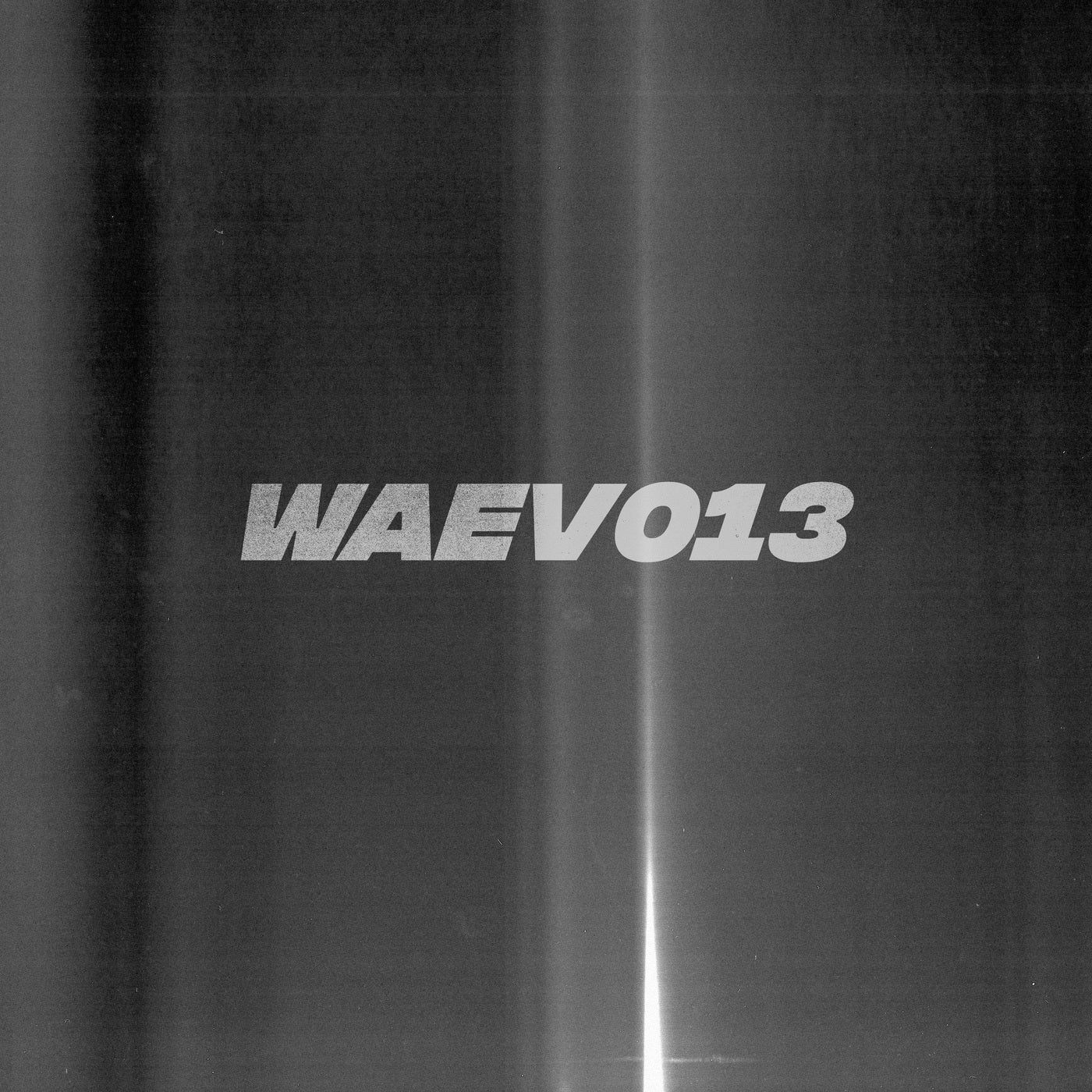 WAEV013