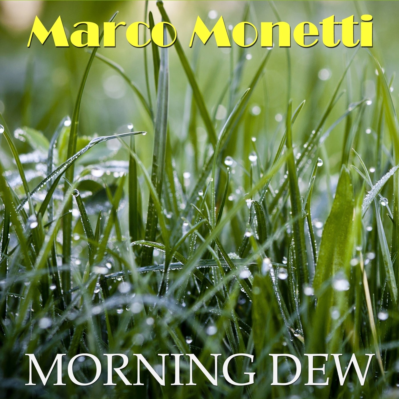 Morning Dew