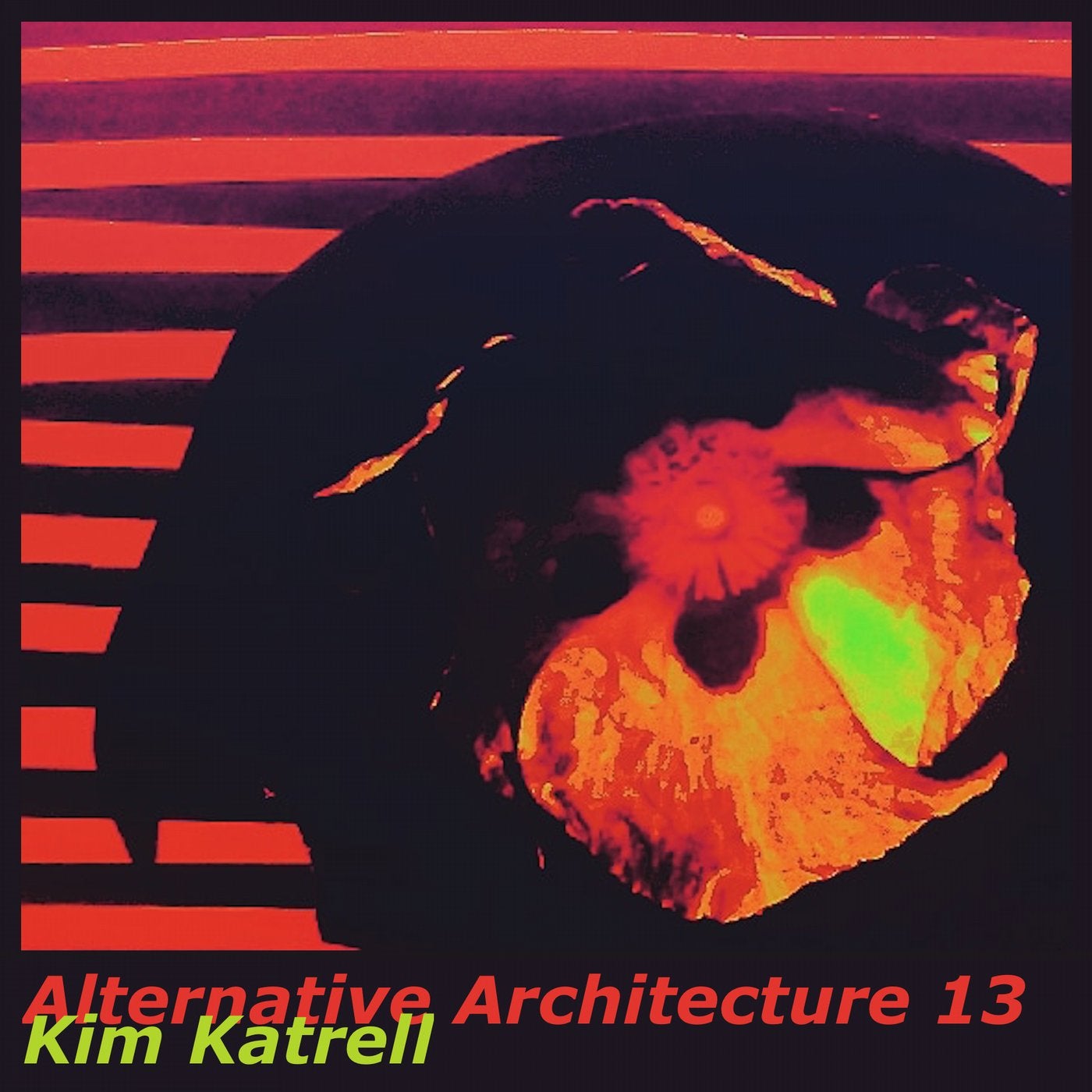 Alternative Architecture 13