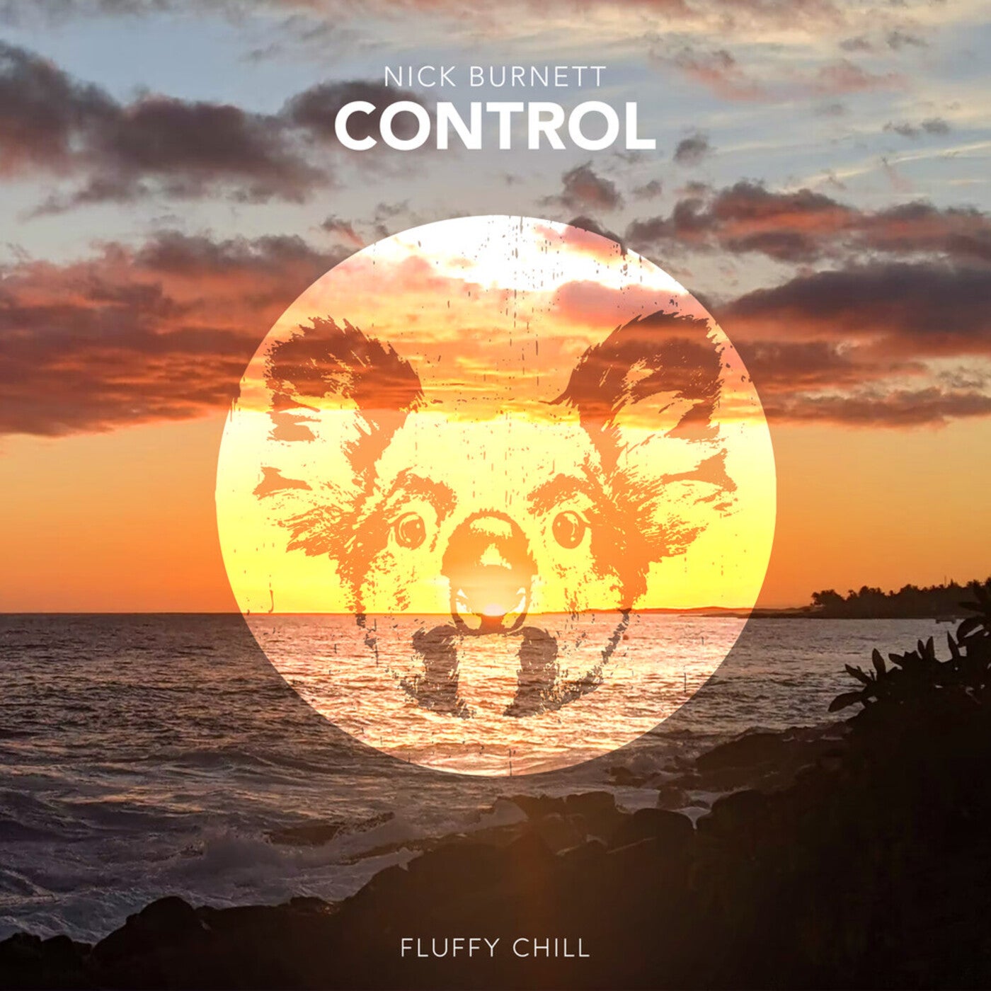 Control