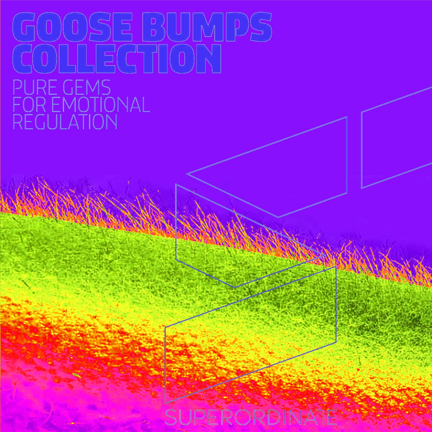 Goose Bumps Collection, Vol. 11