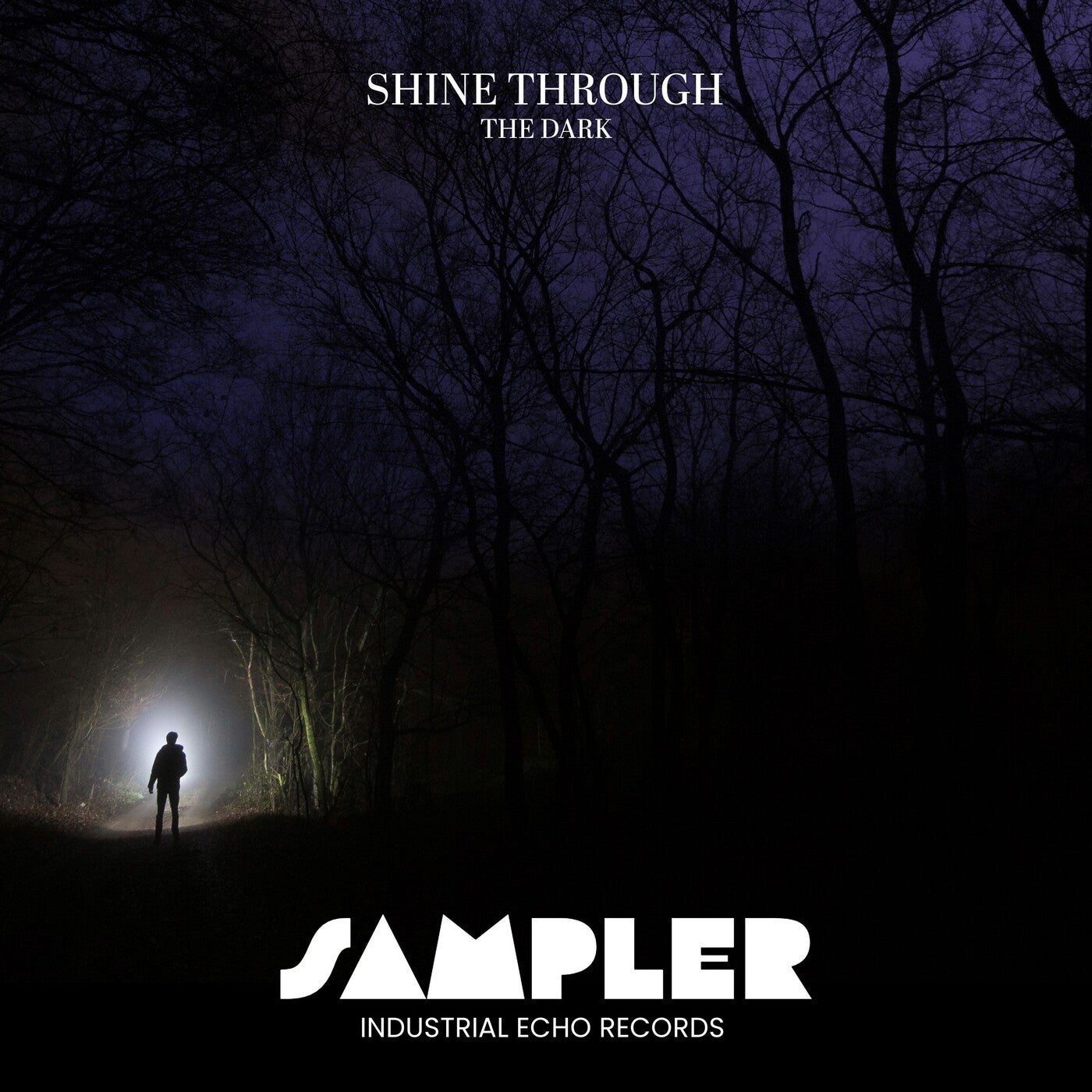 Shine Through the Dark