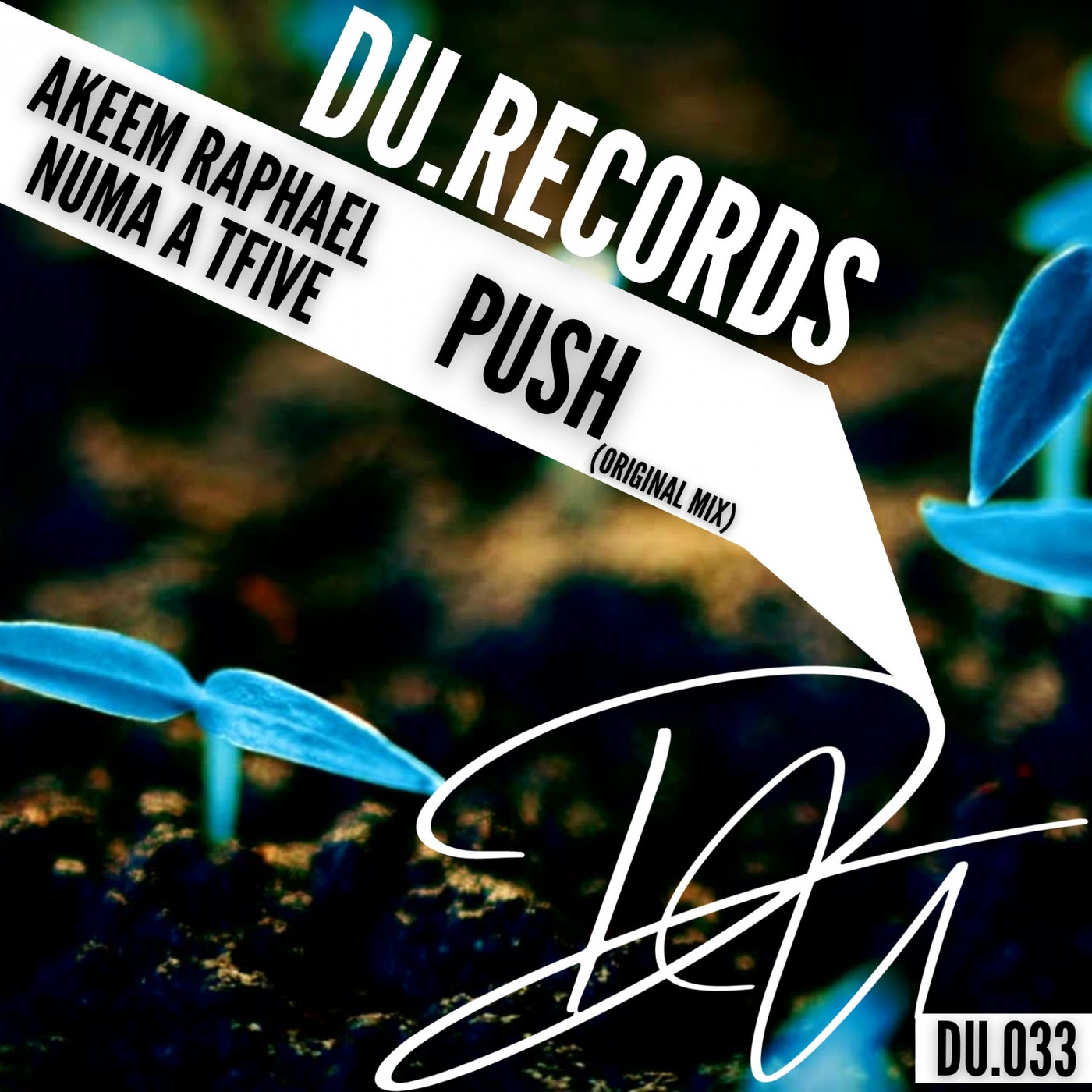 Push (Original Mix)