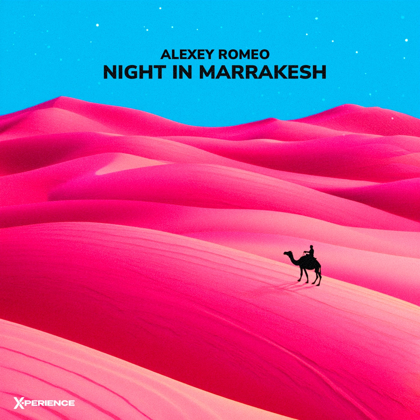 Night in Marrakesh