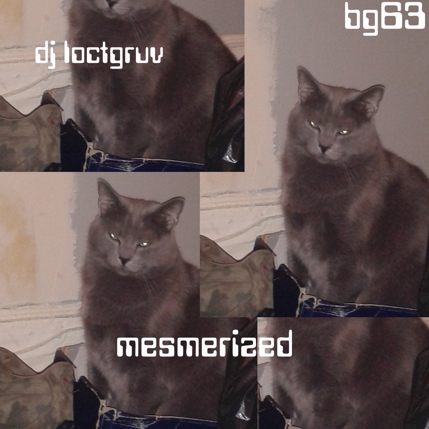 Mesmerized