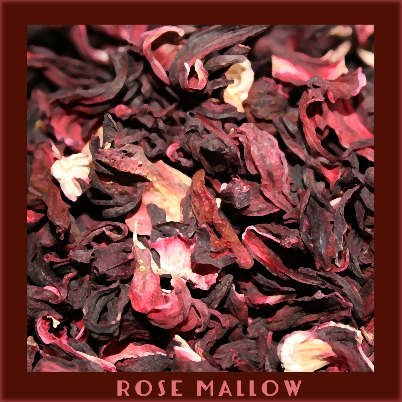 Rose Mallow