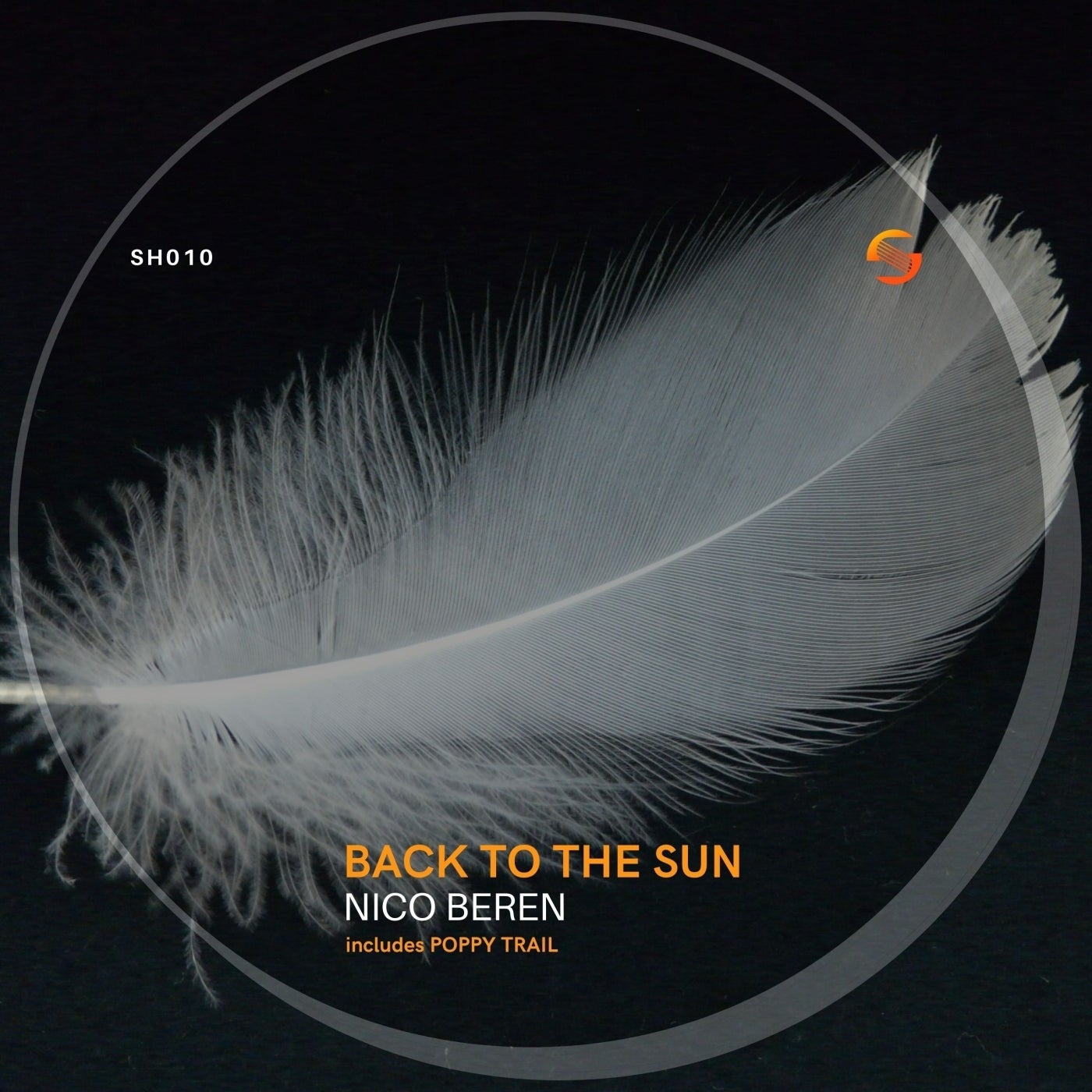 Back to the Sun