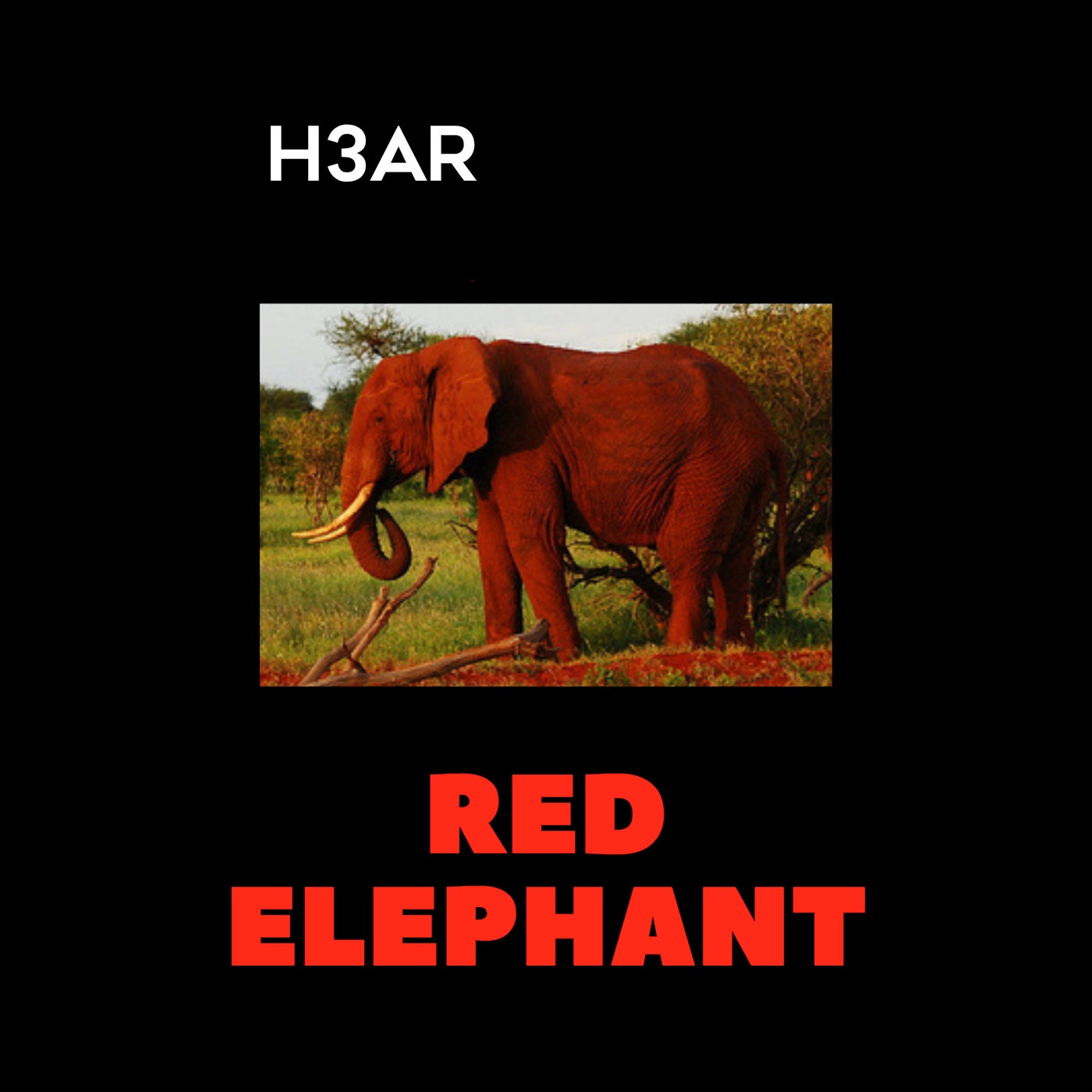 Red Elephant