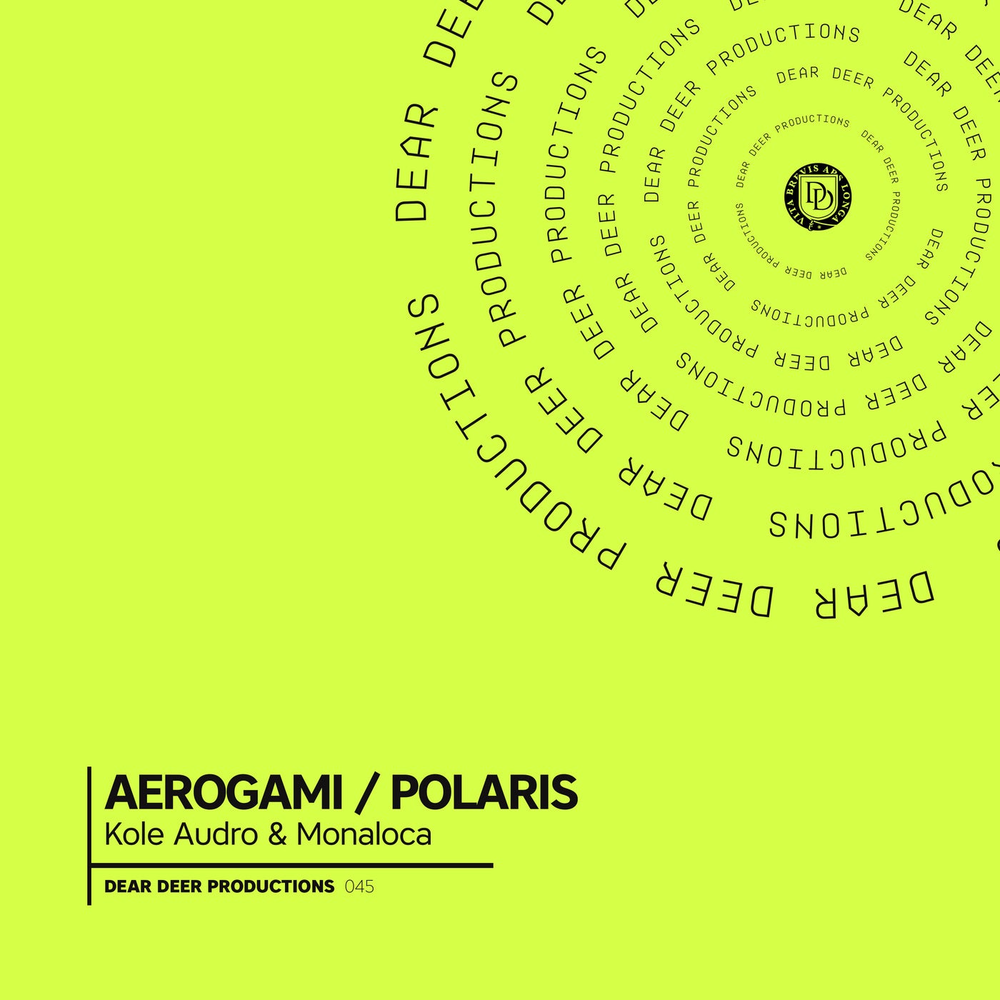 Aerogami / Polaris