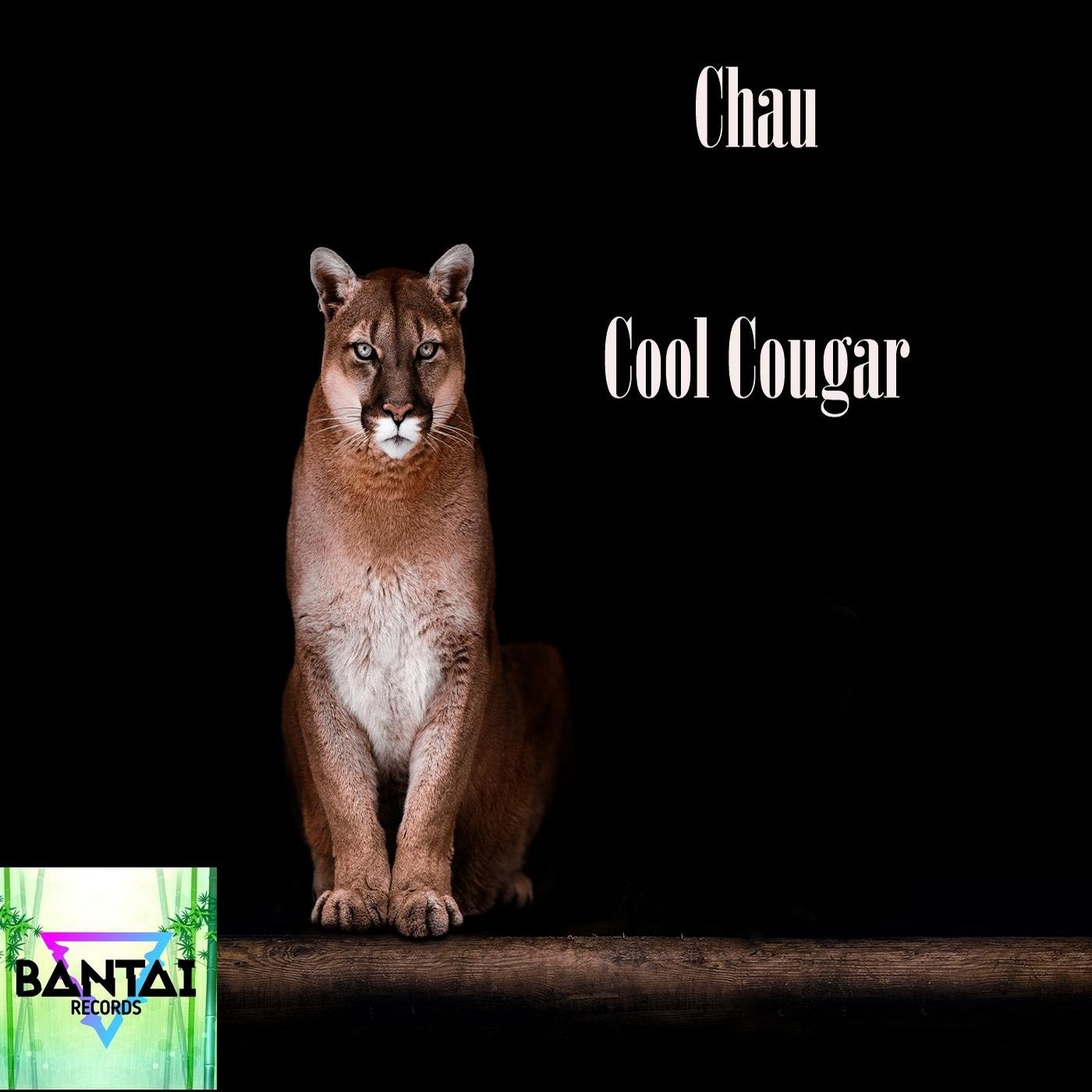 Cool Cougar