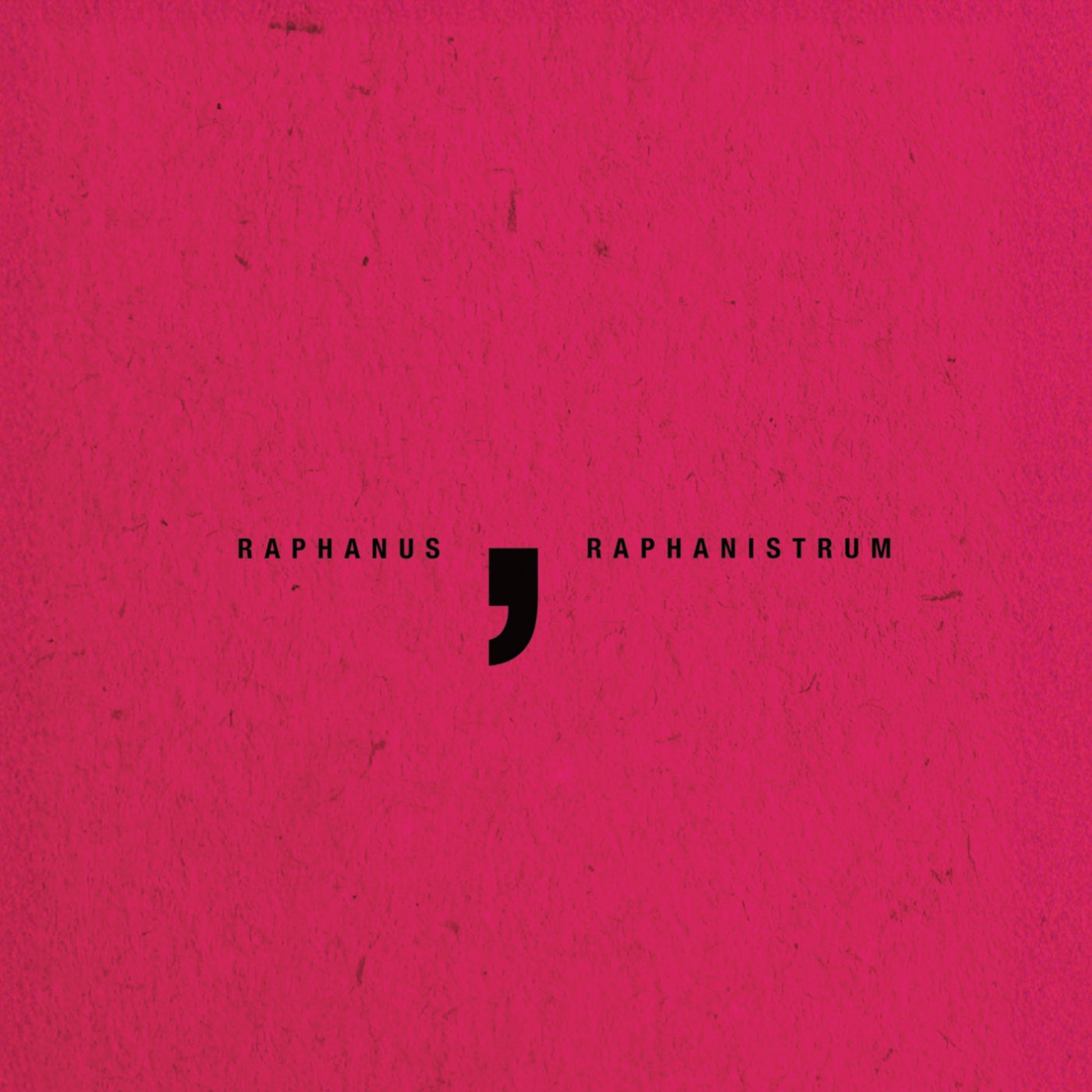 RAPHANUS RAPHANISTRUM