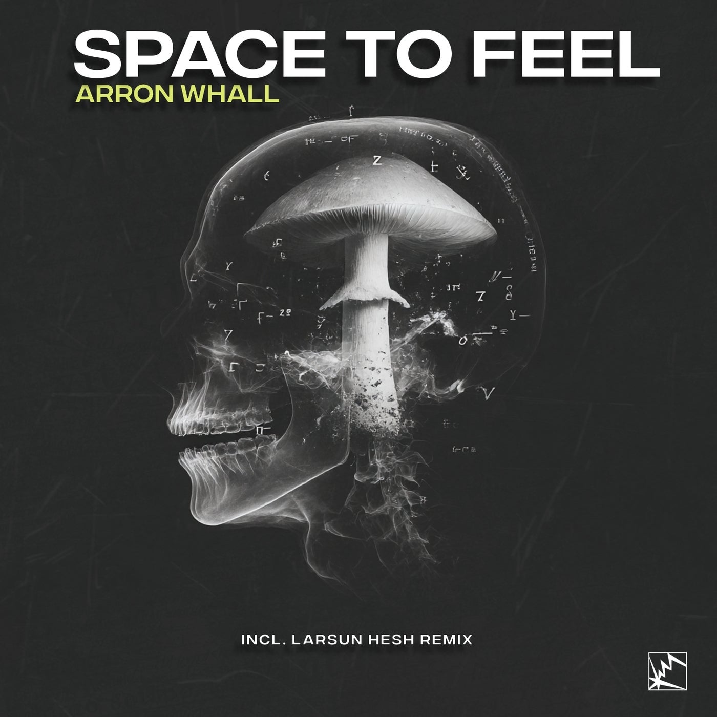 Cover art for Space to Feel