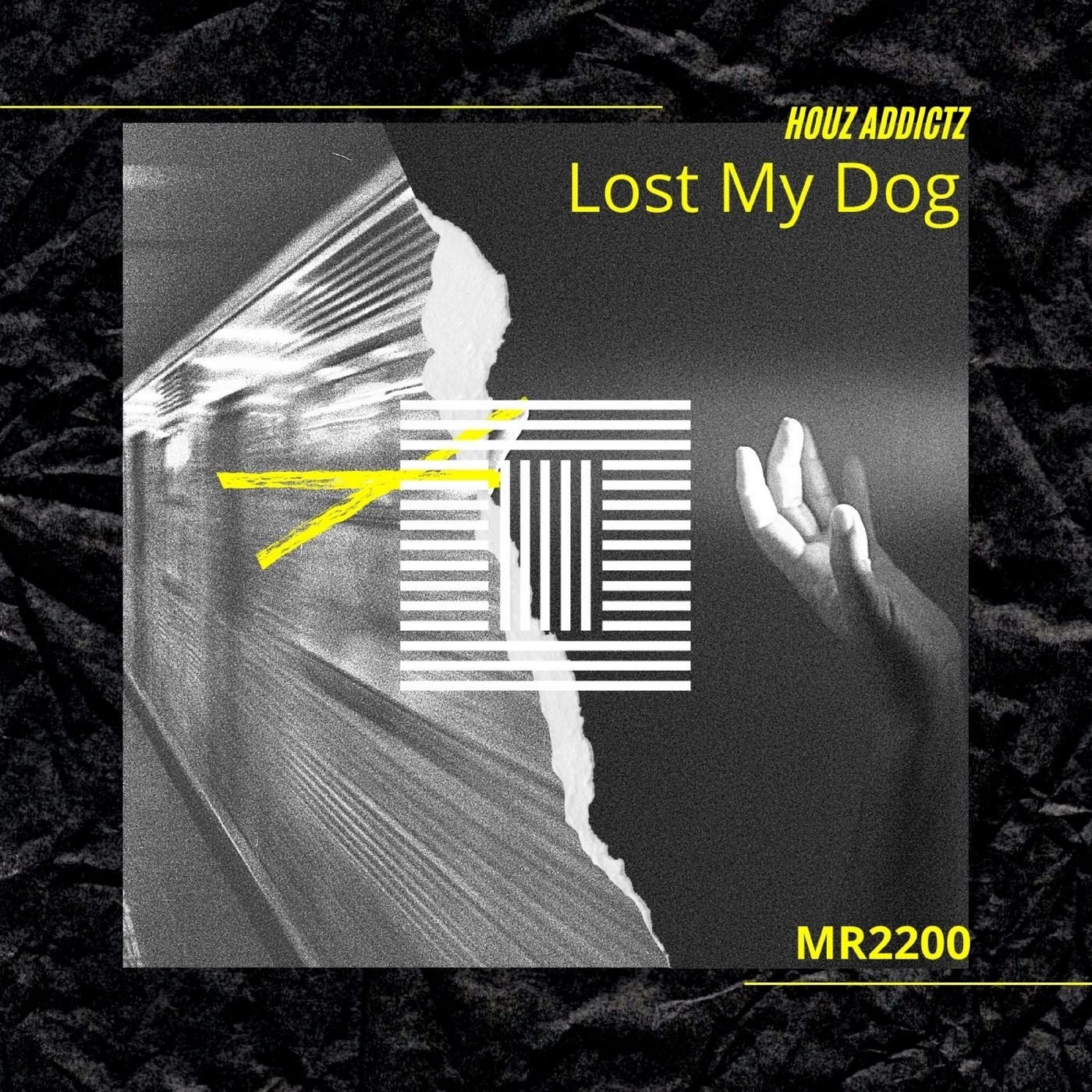 Lost My Dog