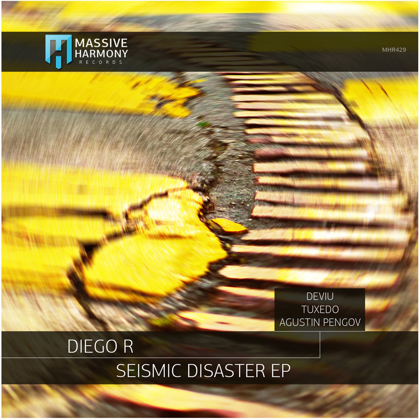 Seismic Disaster