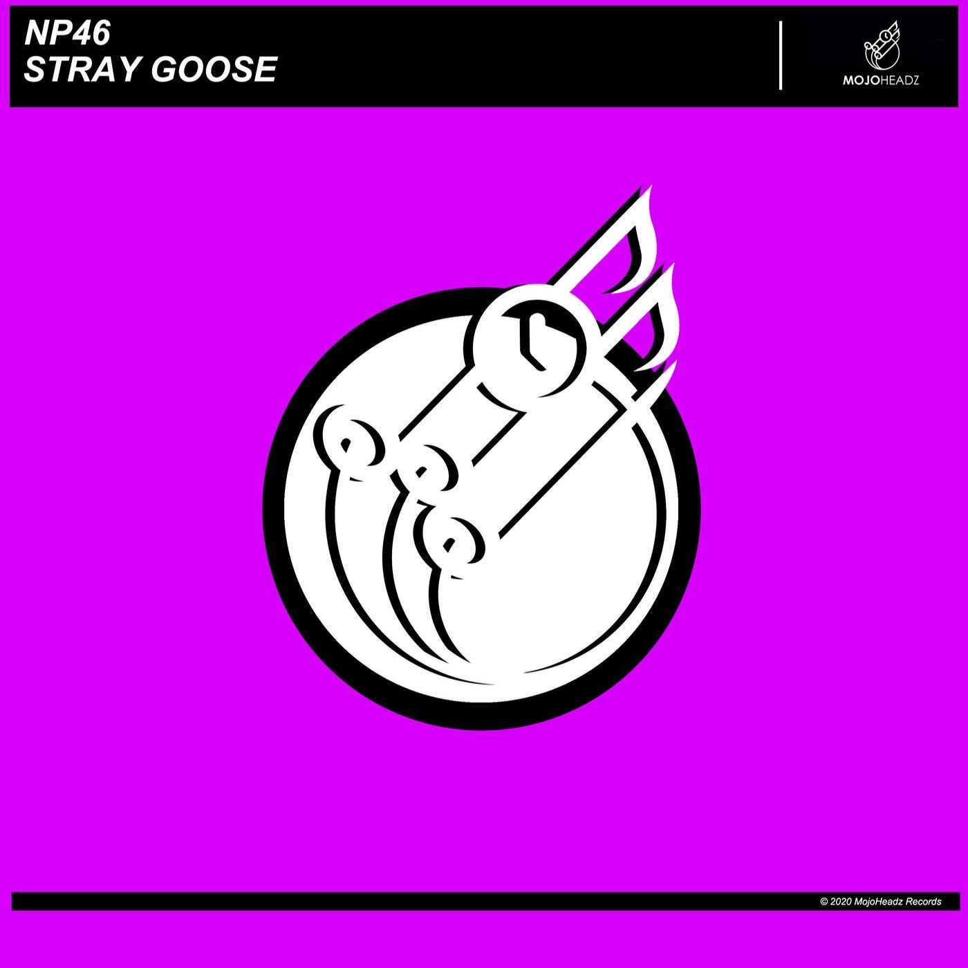 Stray Goose