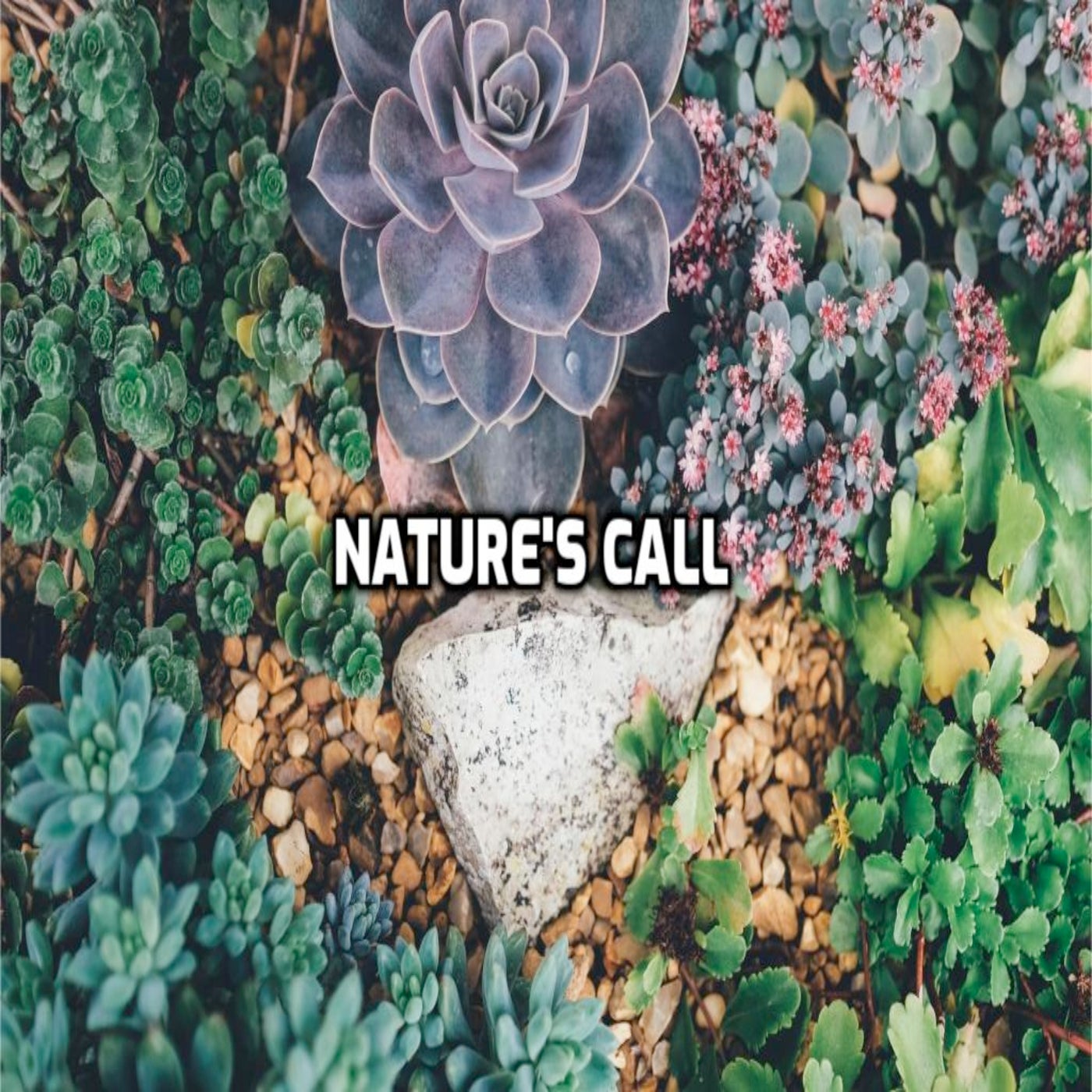 Nature's Call