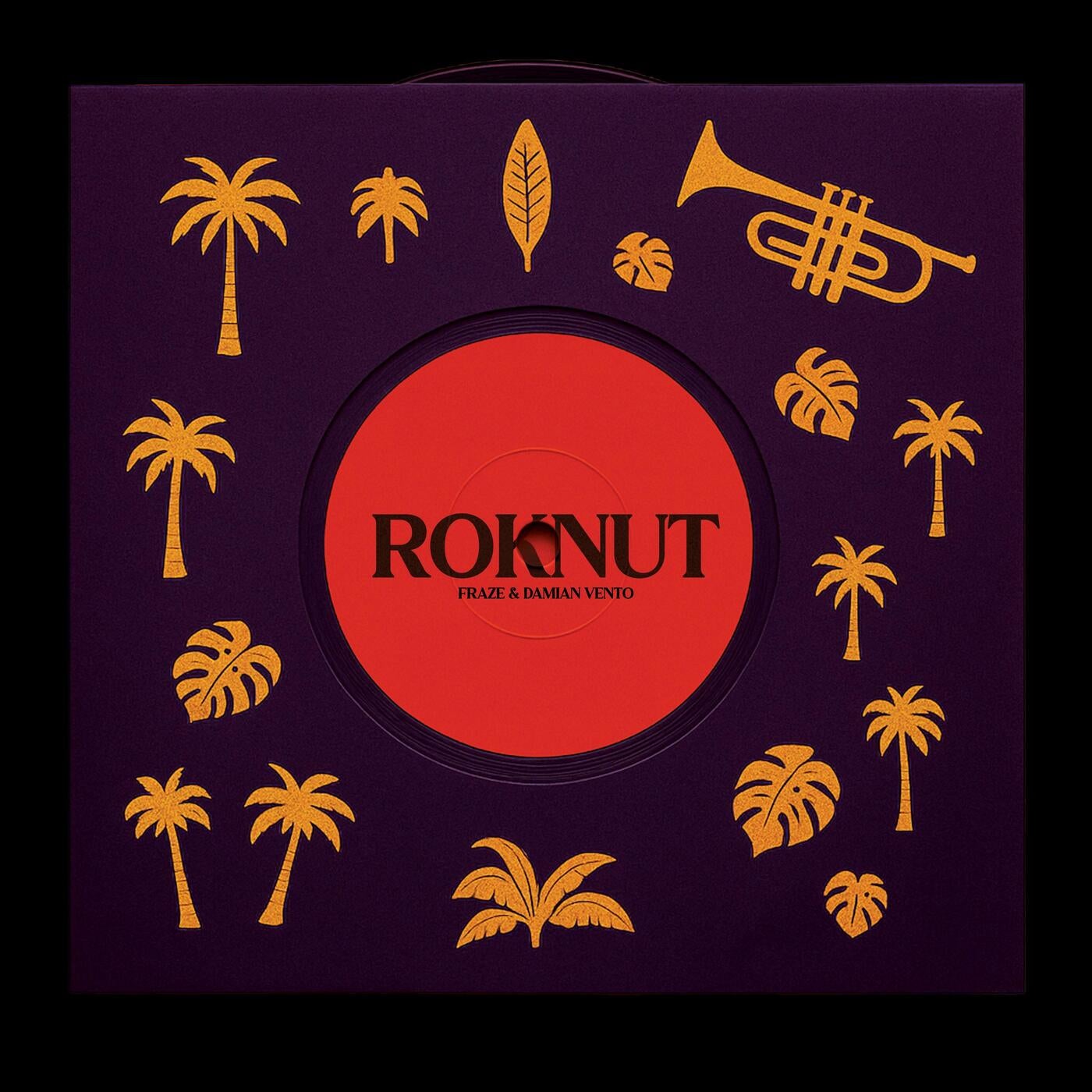 Cover art for ROKNUT (feat. Damian Vento)