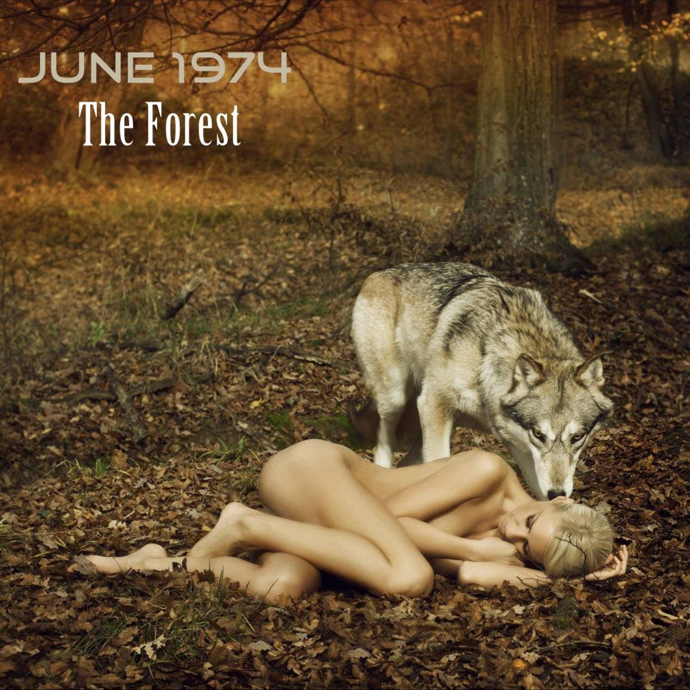 The Forest