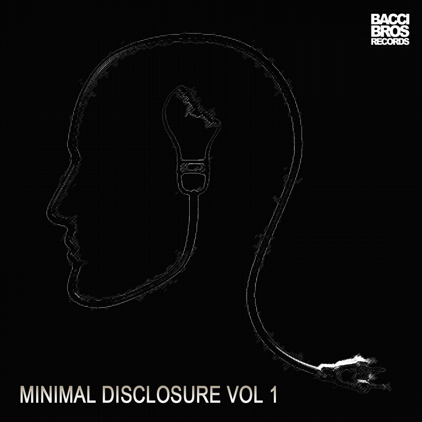 Minimal Disclosure Vol 1