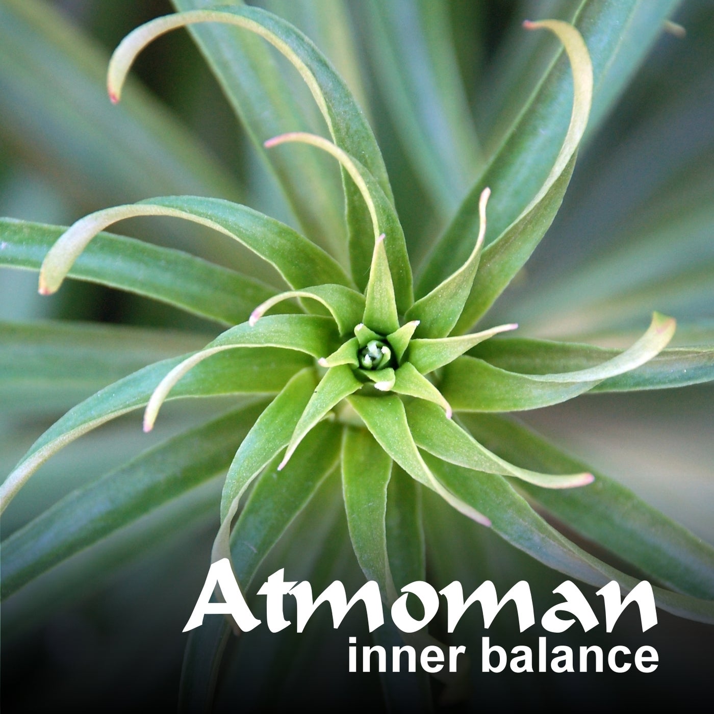Inner Balance