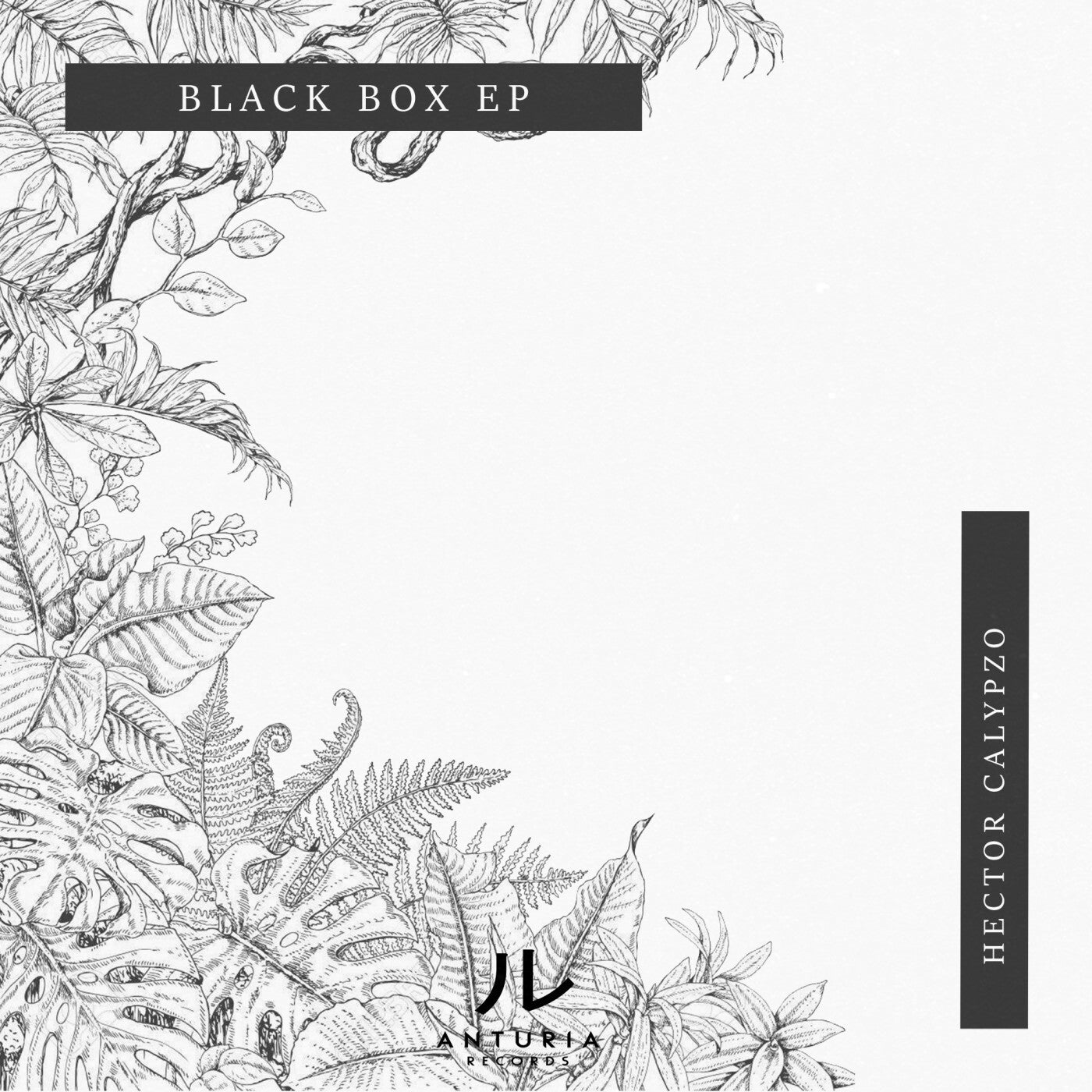 Black Box EP