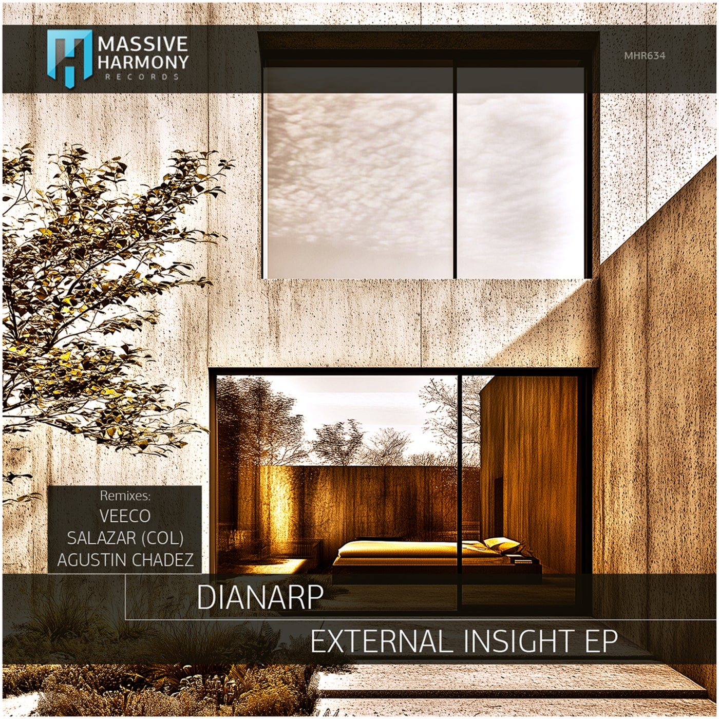 External Insight